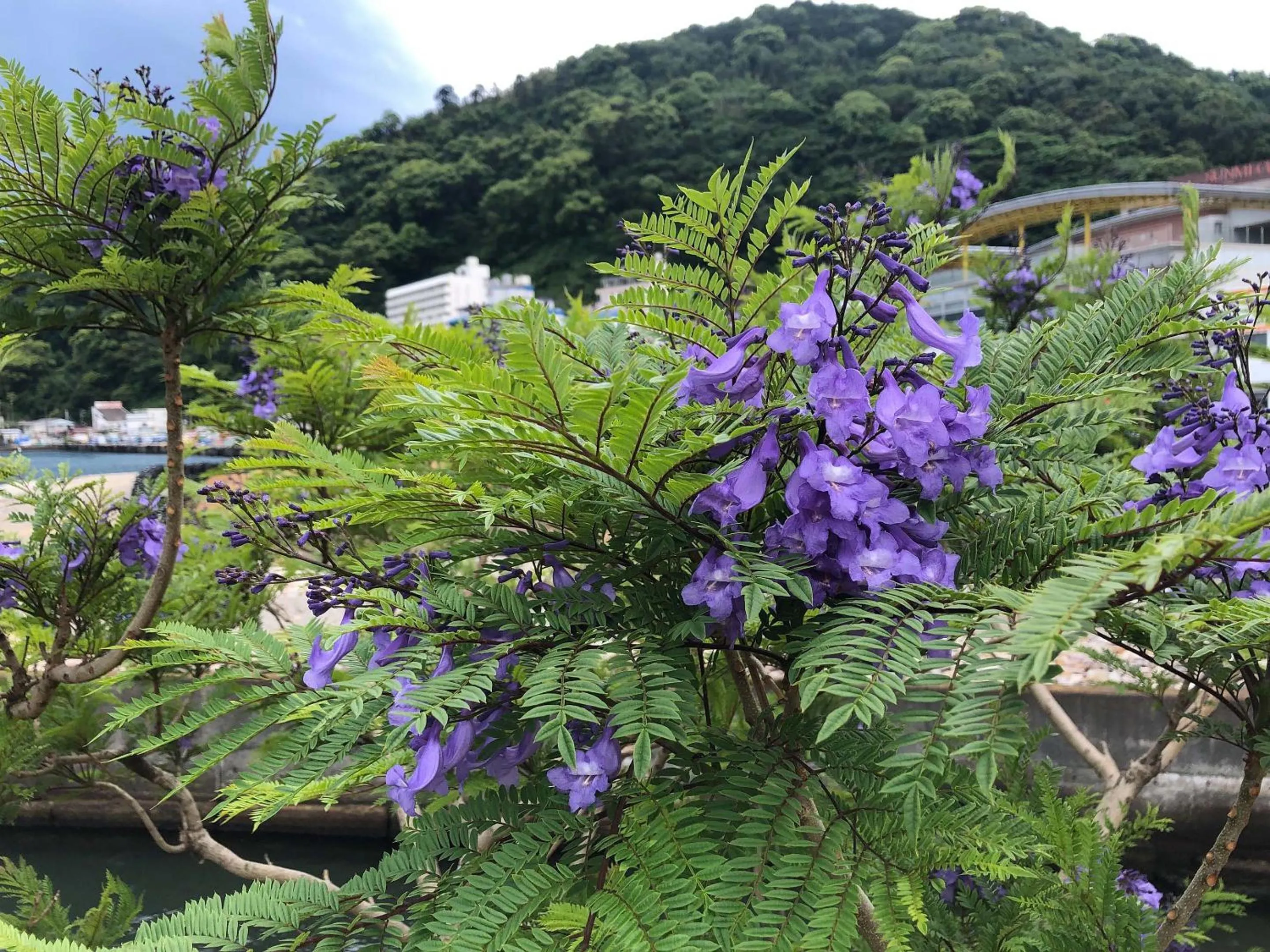 Off site in Rakuten STAY Atami