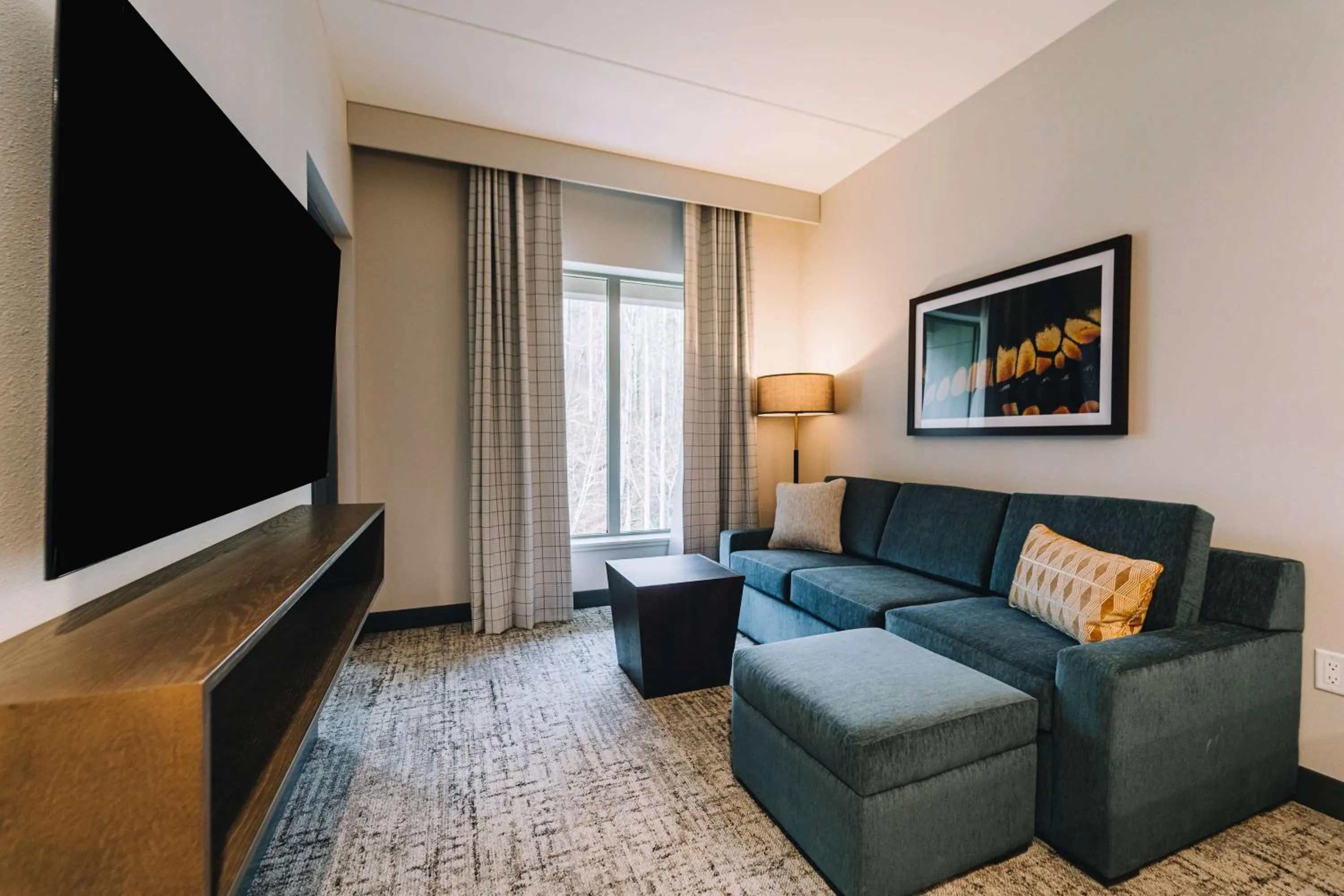 Living room in Embassy Suites By Hilton Gatlinburg Resort