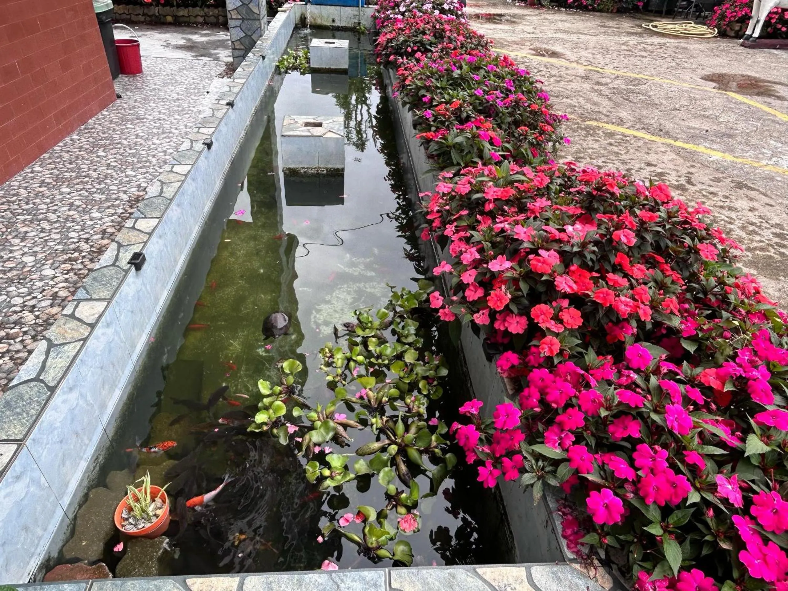 Tekoma Resort Cameron Highlands