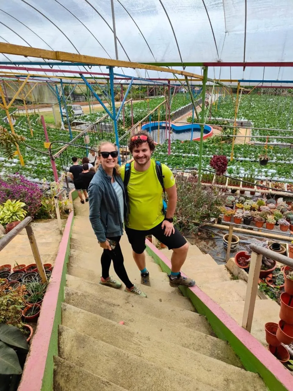 Tekoma Resort Cameron Highlands