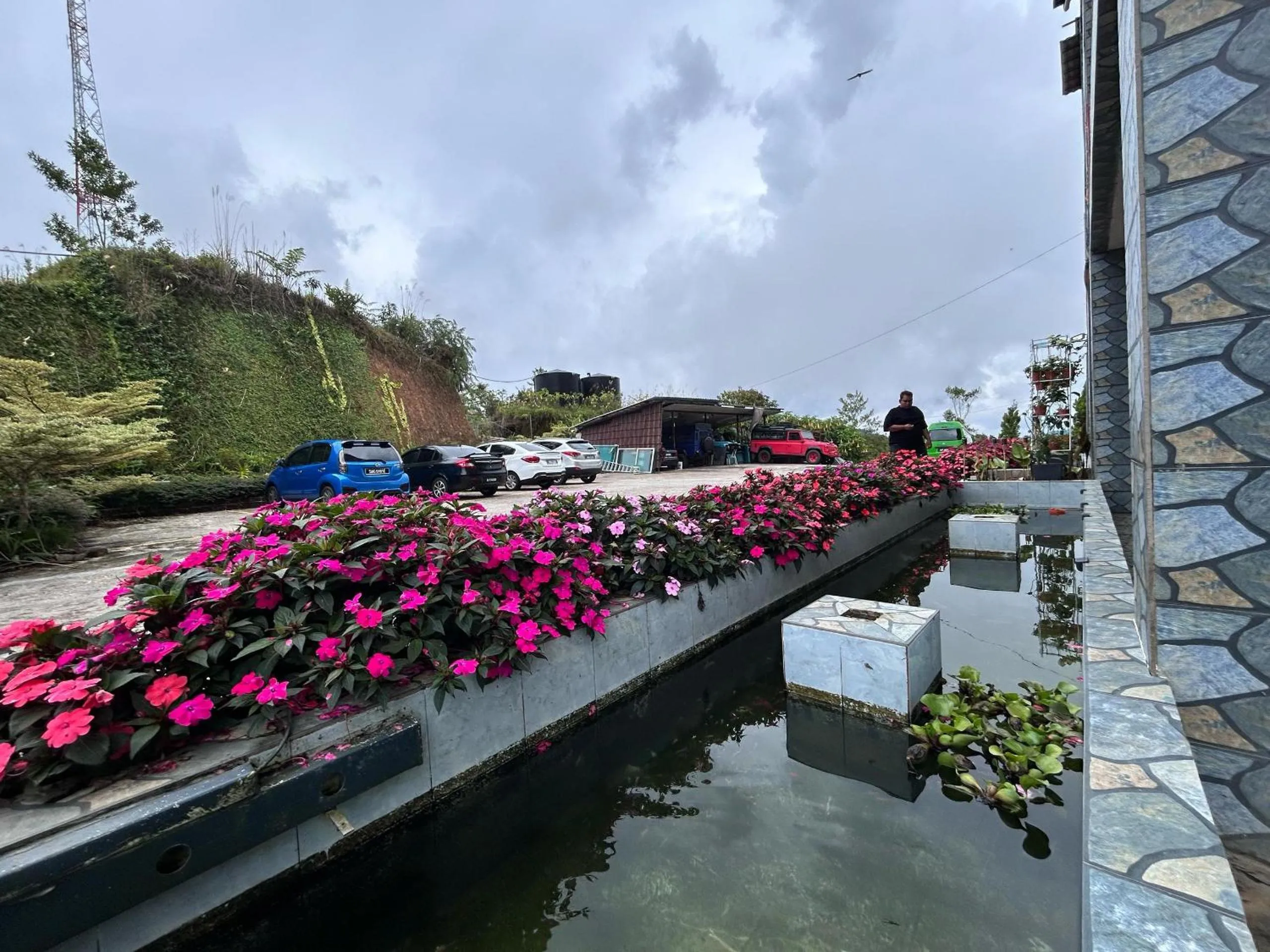 Garden view in Tekoma Resort Cameron Highlands