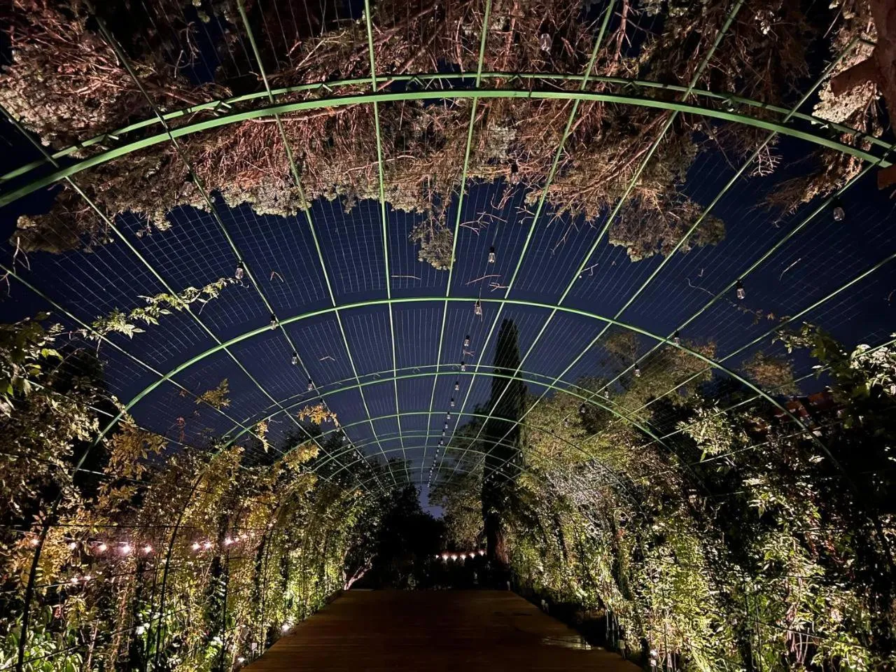 Natural landscape in Giardini Penelope Resort e Spa