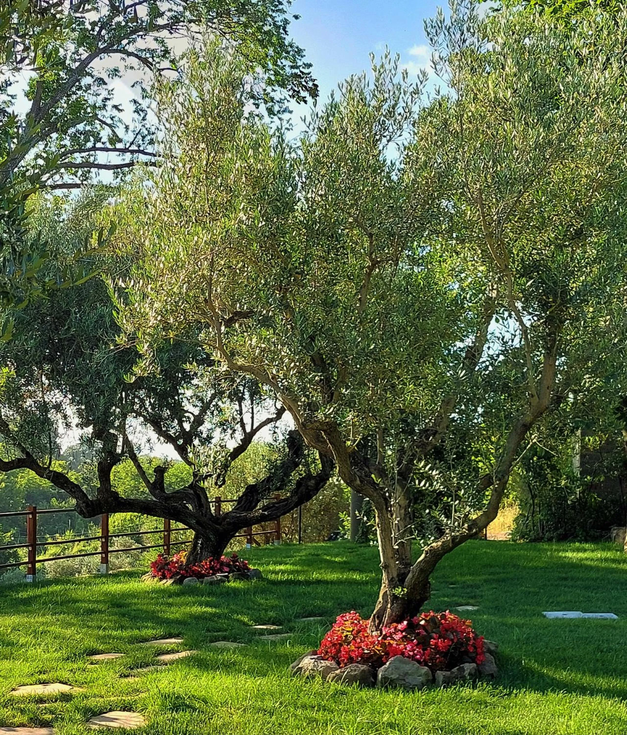 Garden in Giardini Penelope Resort e Spa