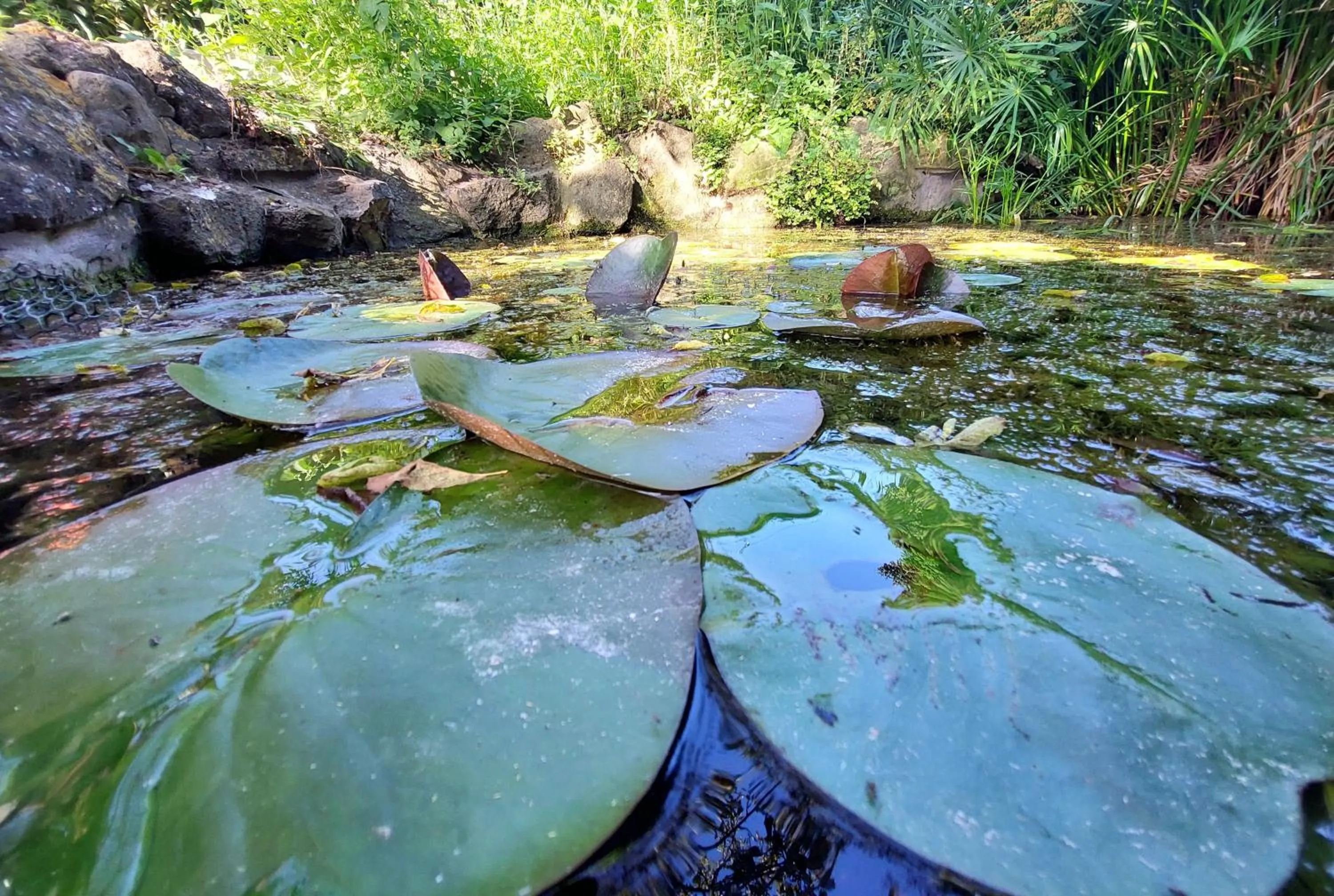 Lake view in Giardini Penelope Resort e Spa