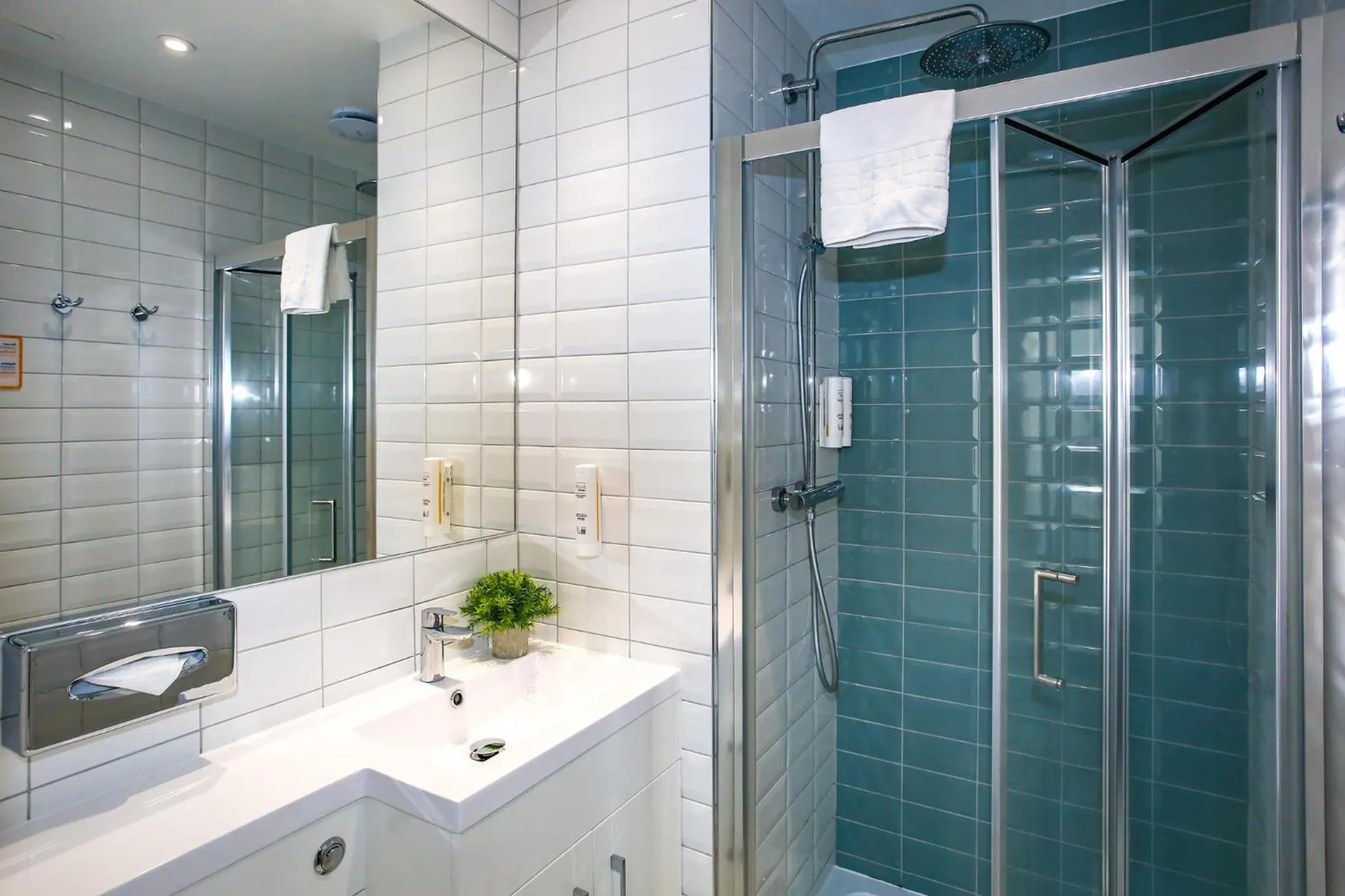 Shower in Comfort Inn Victoria