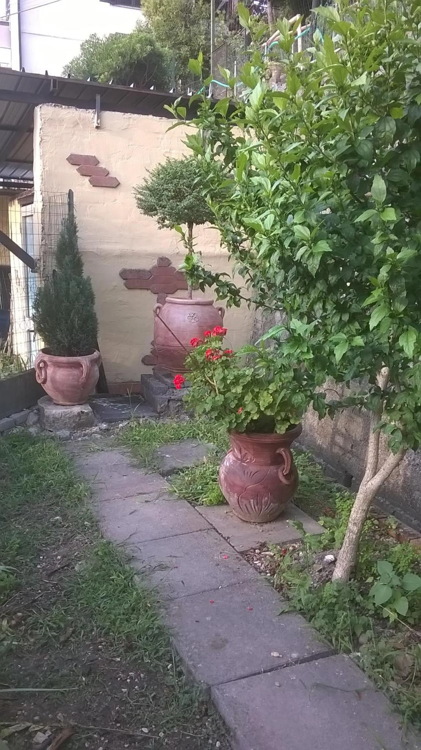 Garden in Albergo Da Peppino