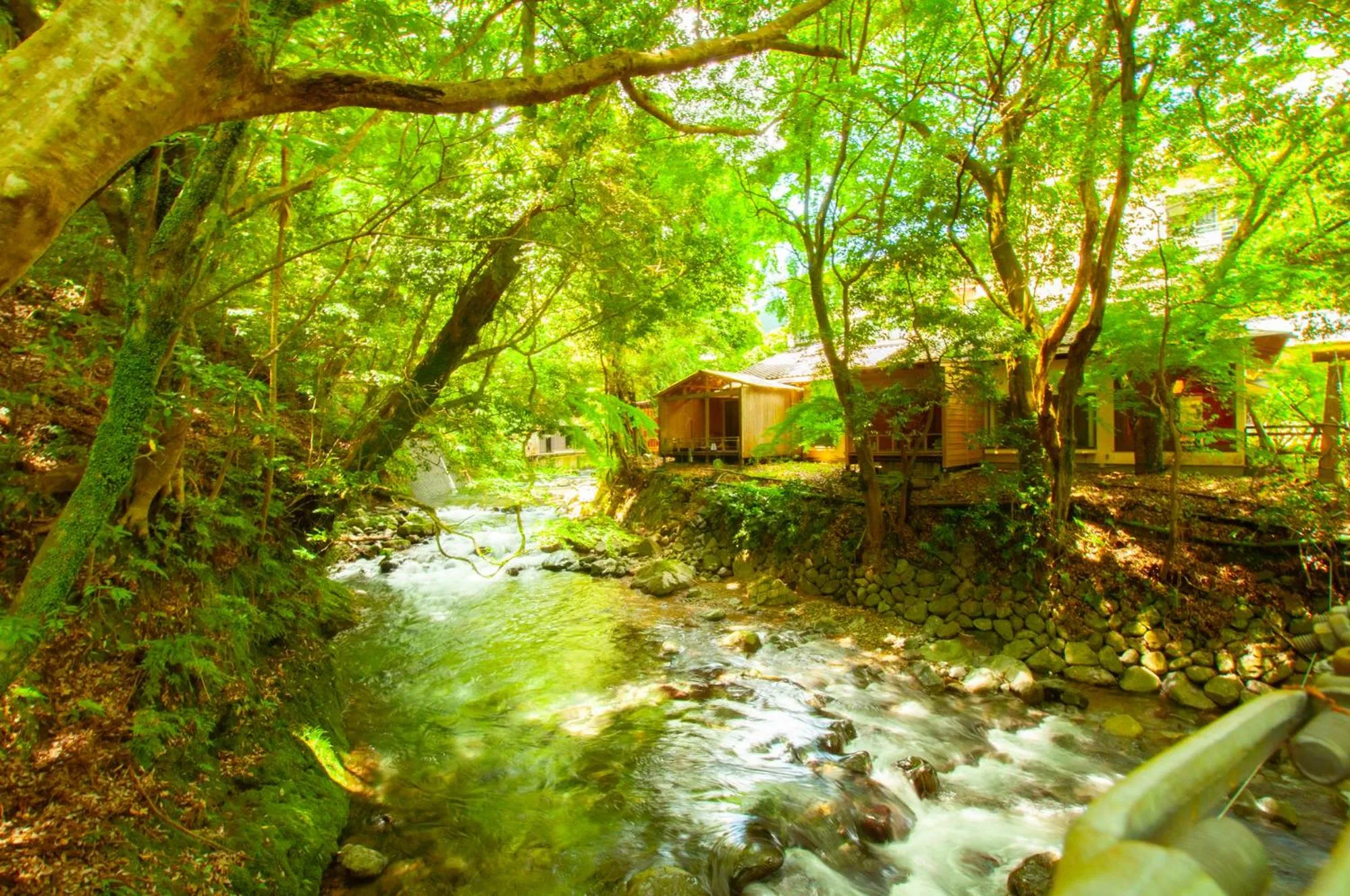 Property building in Mizumari