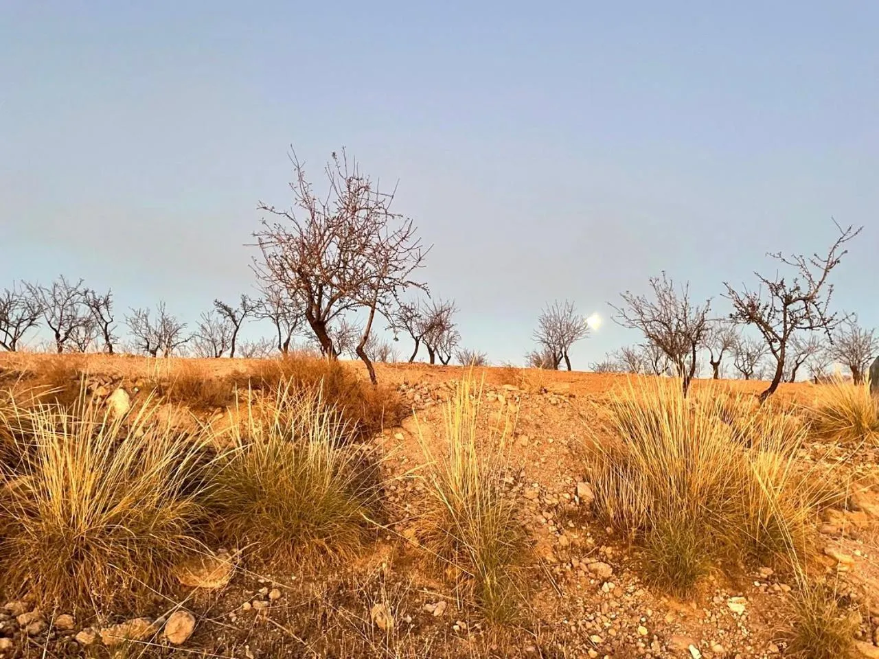 Natural landscape in Cuevas El Atochal Orígenes