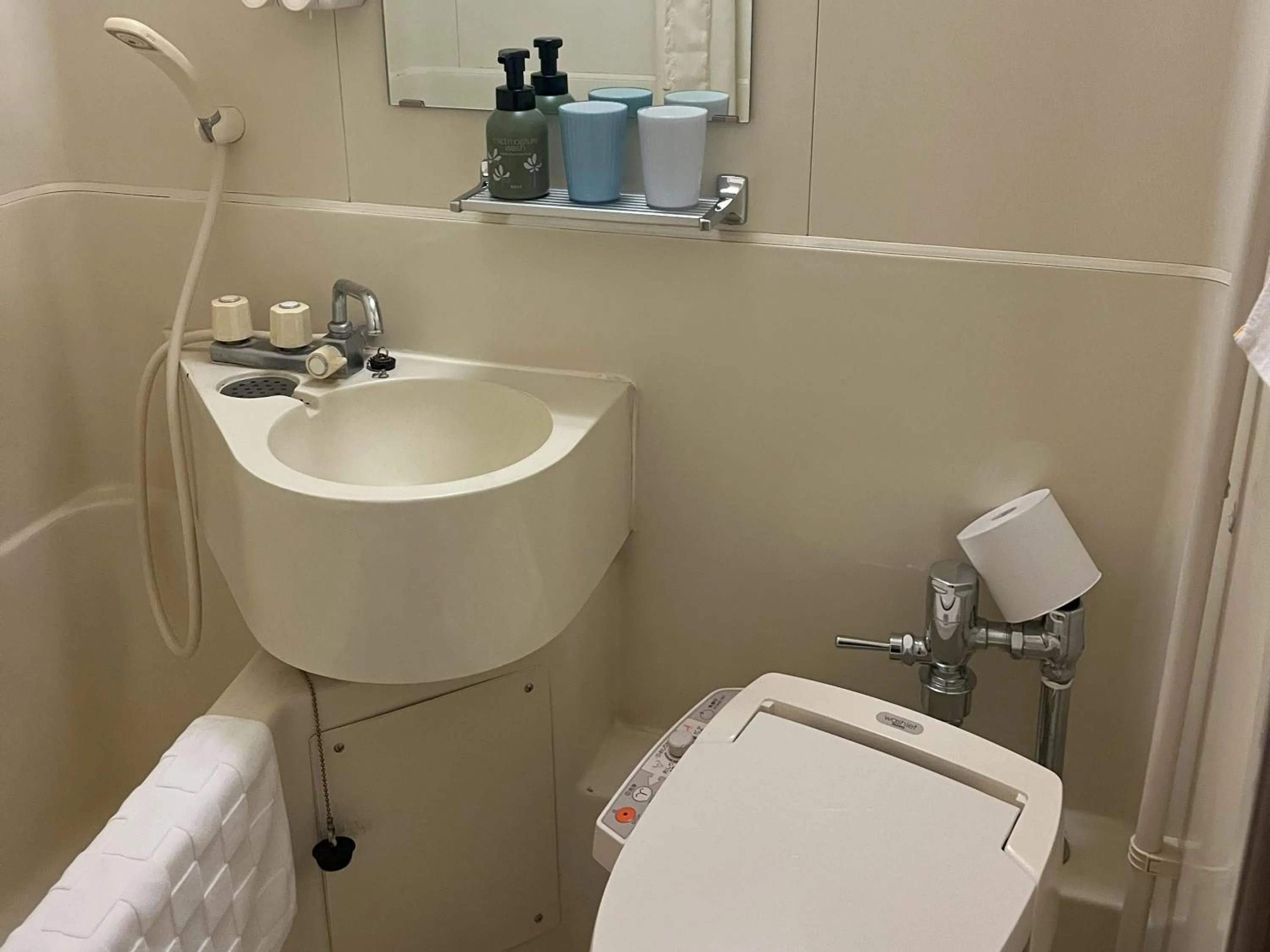 Toilet in Hotel Kurume HIlls