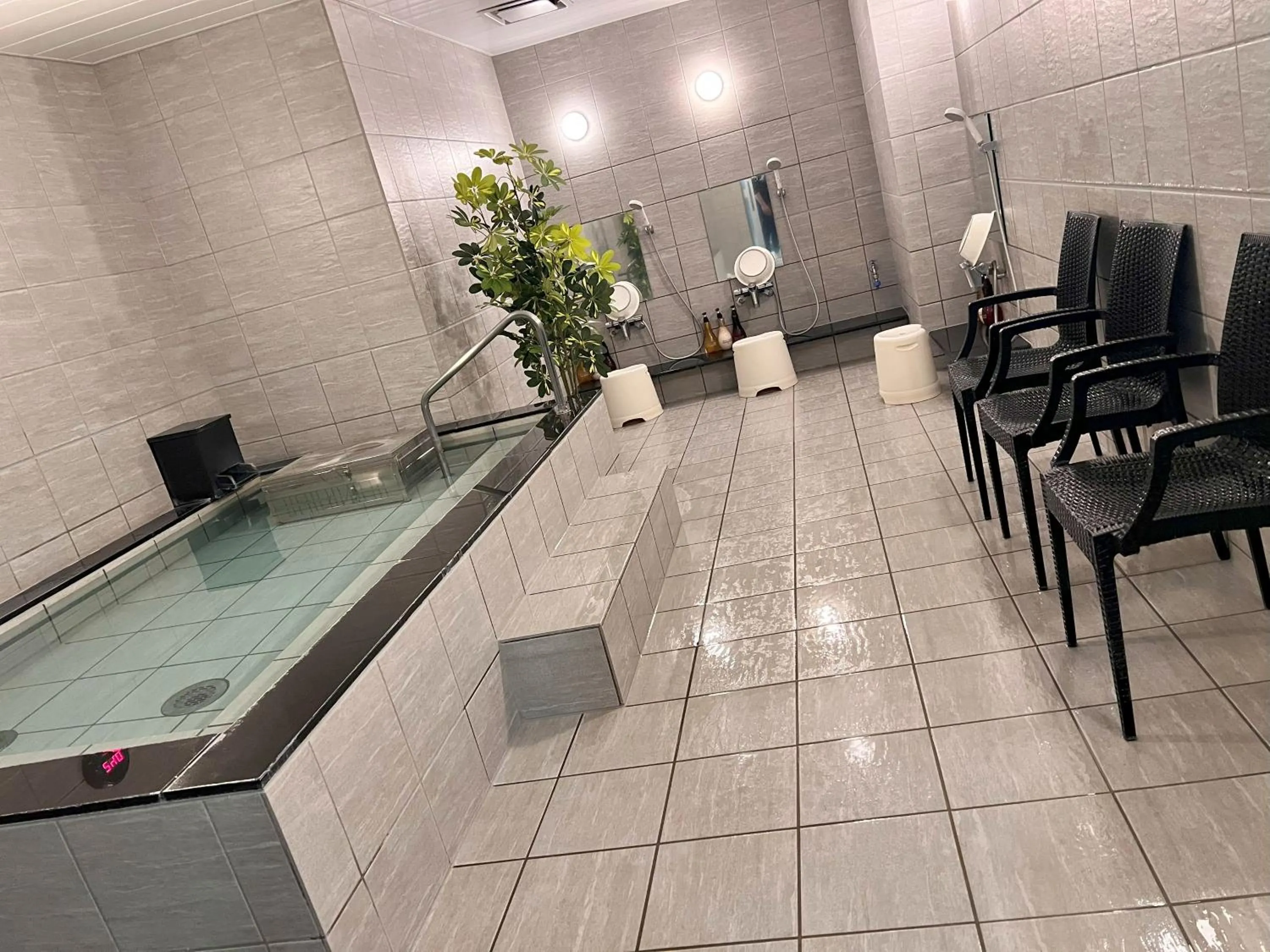 Public Bath in Hotel Kurume HIlls