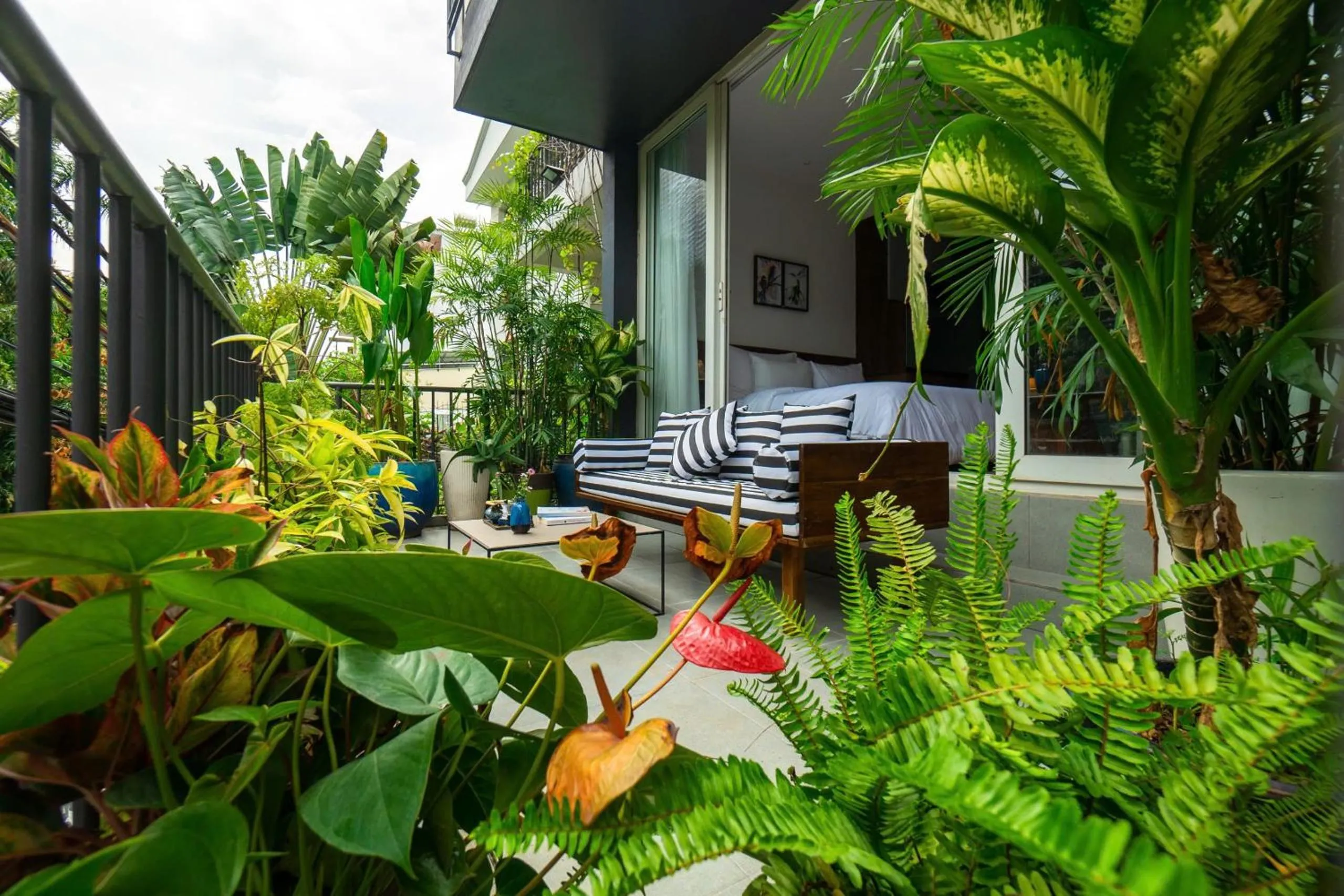 Day in Nexus House Lang Bao Chi