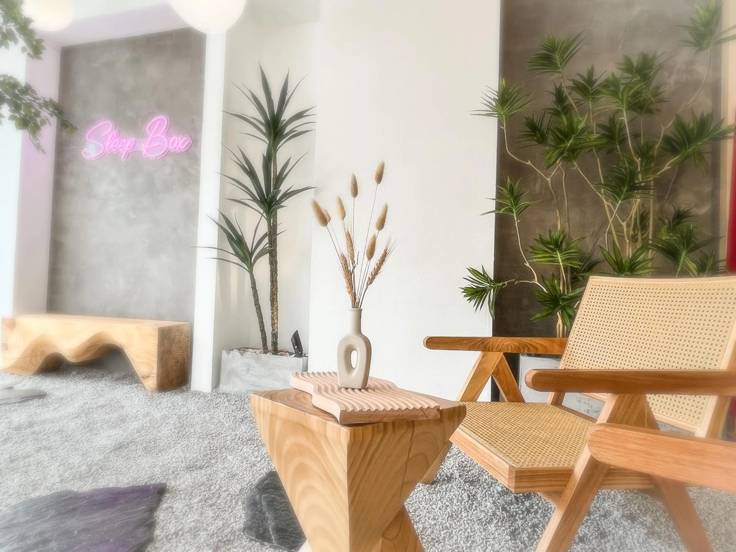 Garden in Sleep Box Penang