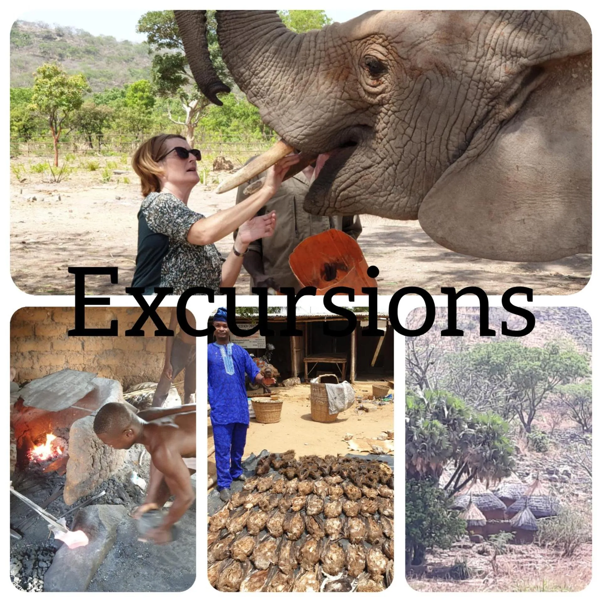 Entertainment in Hotel Robinson Plage