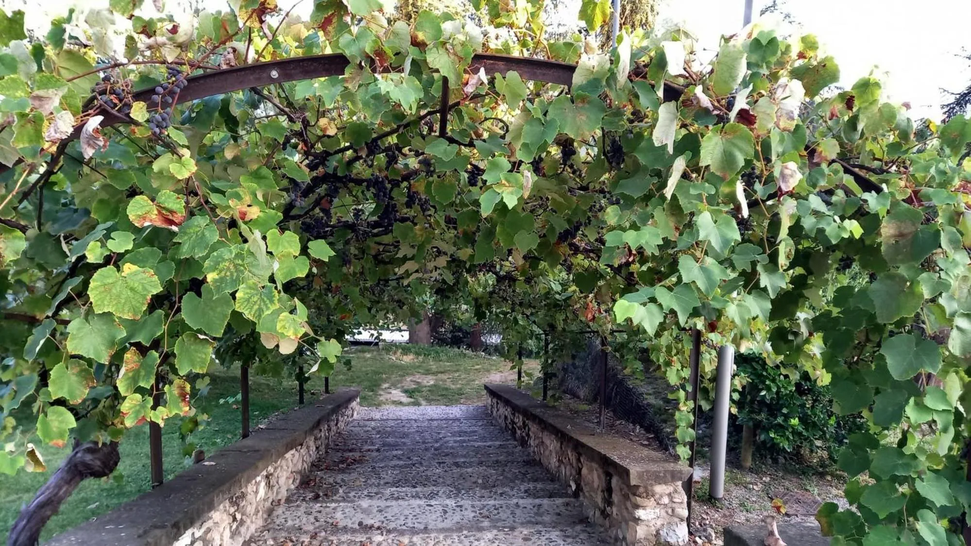 Garden in Residence delle Tre Corone