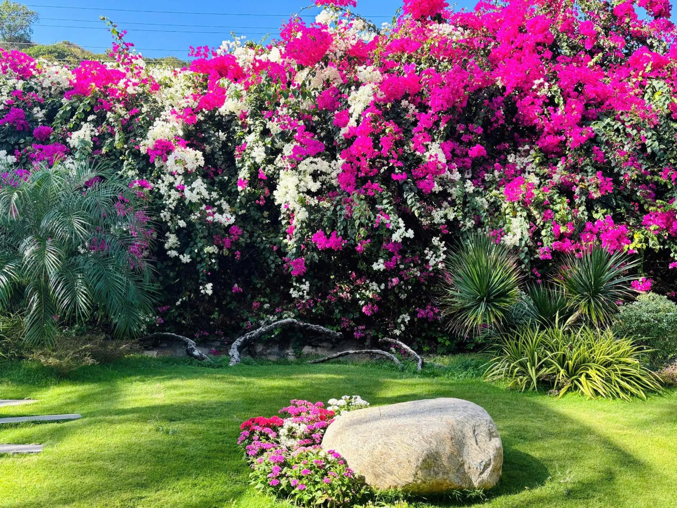 Hon Rom Central Beach Resort