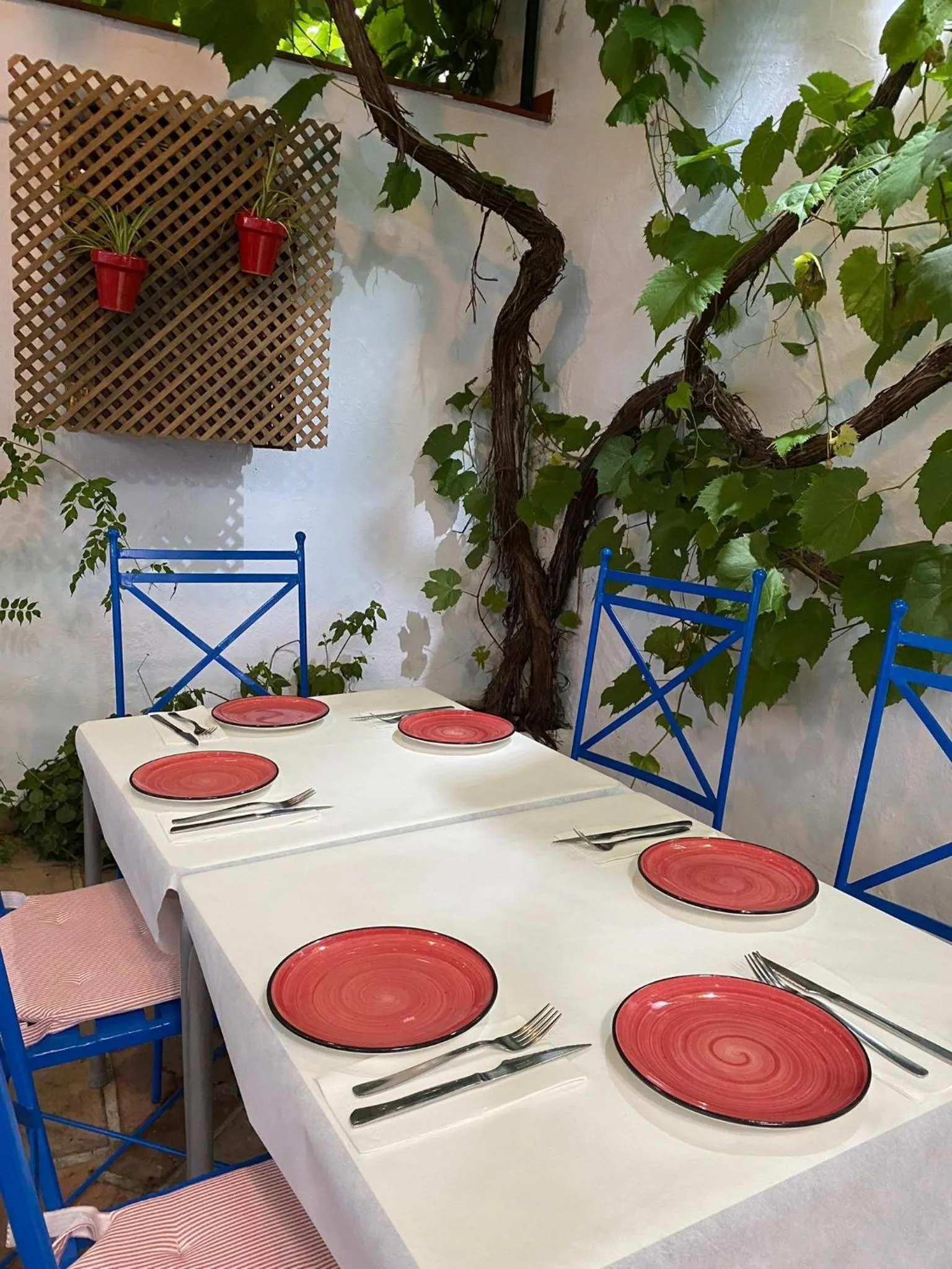 Restaurant/places to eat in Hospederia Casa de las Piedras