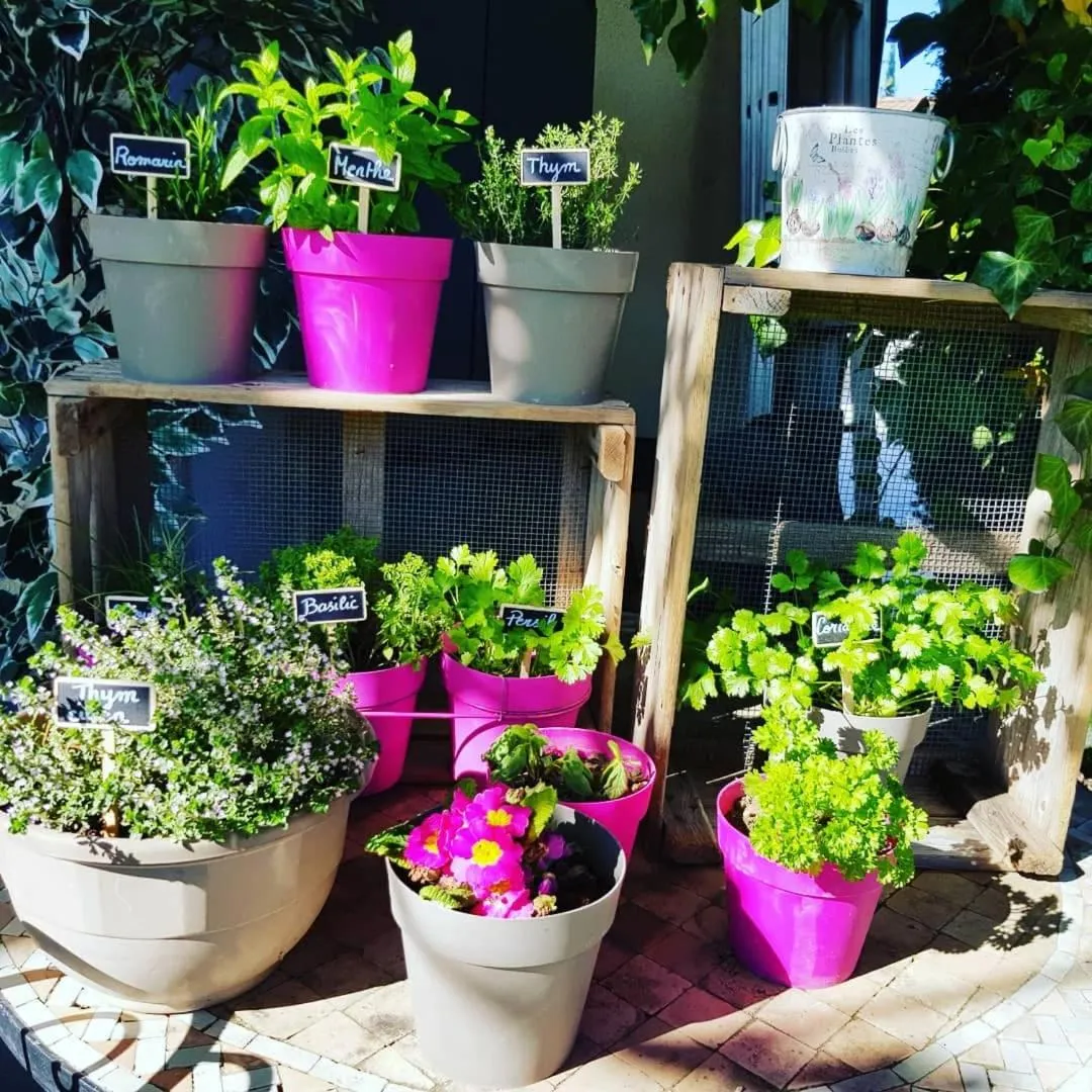 Food in A l'Orée du Pin