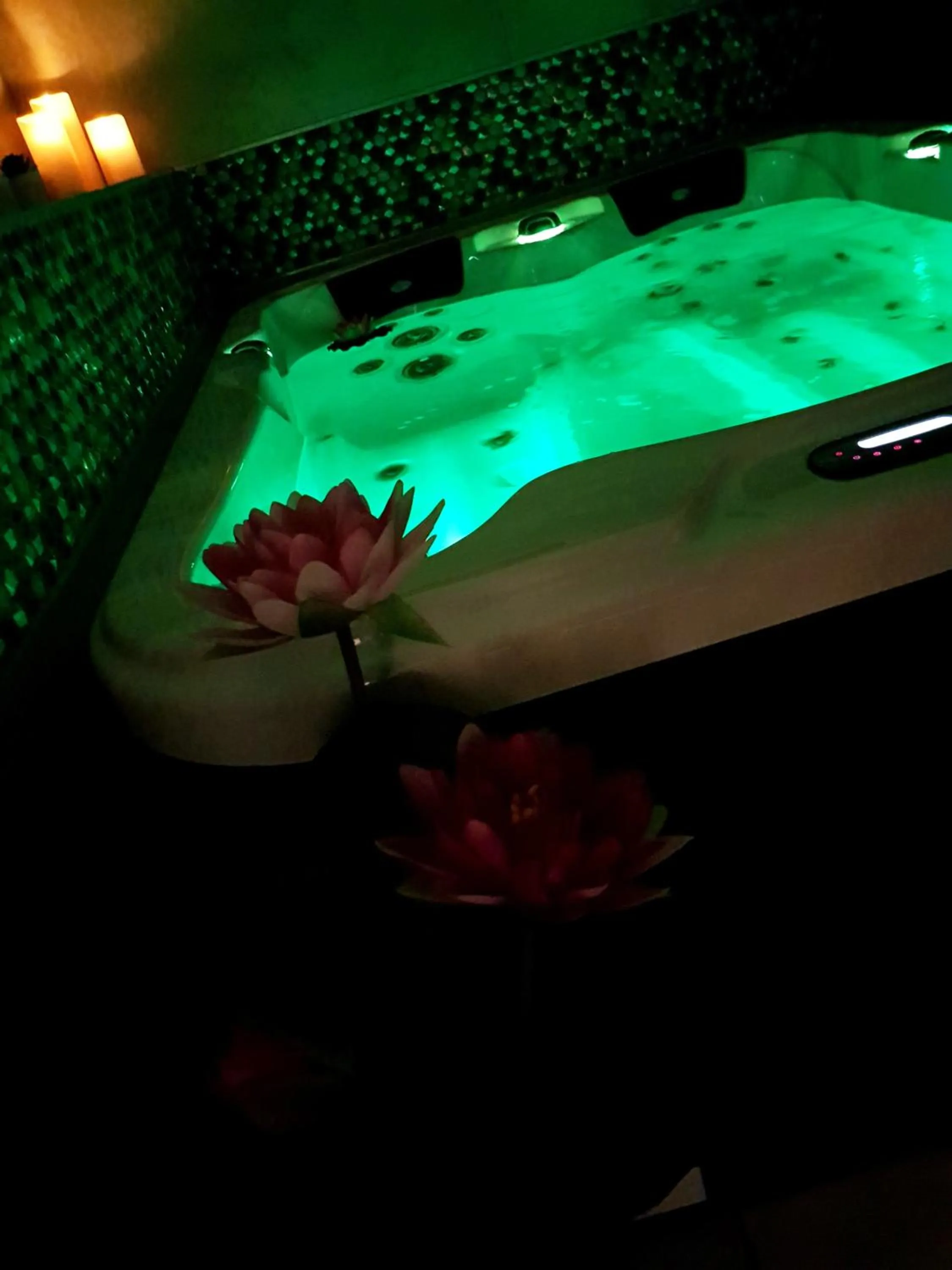 Hot Tub in A l'Orée du Pin