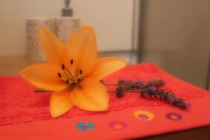 Other in A l'Orée du Pin