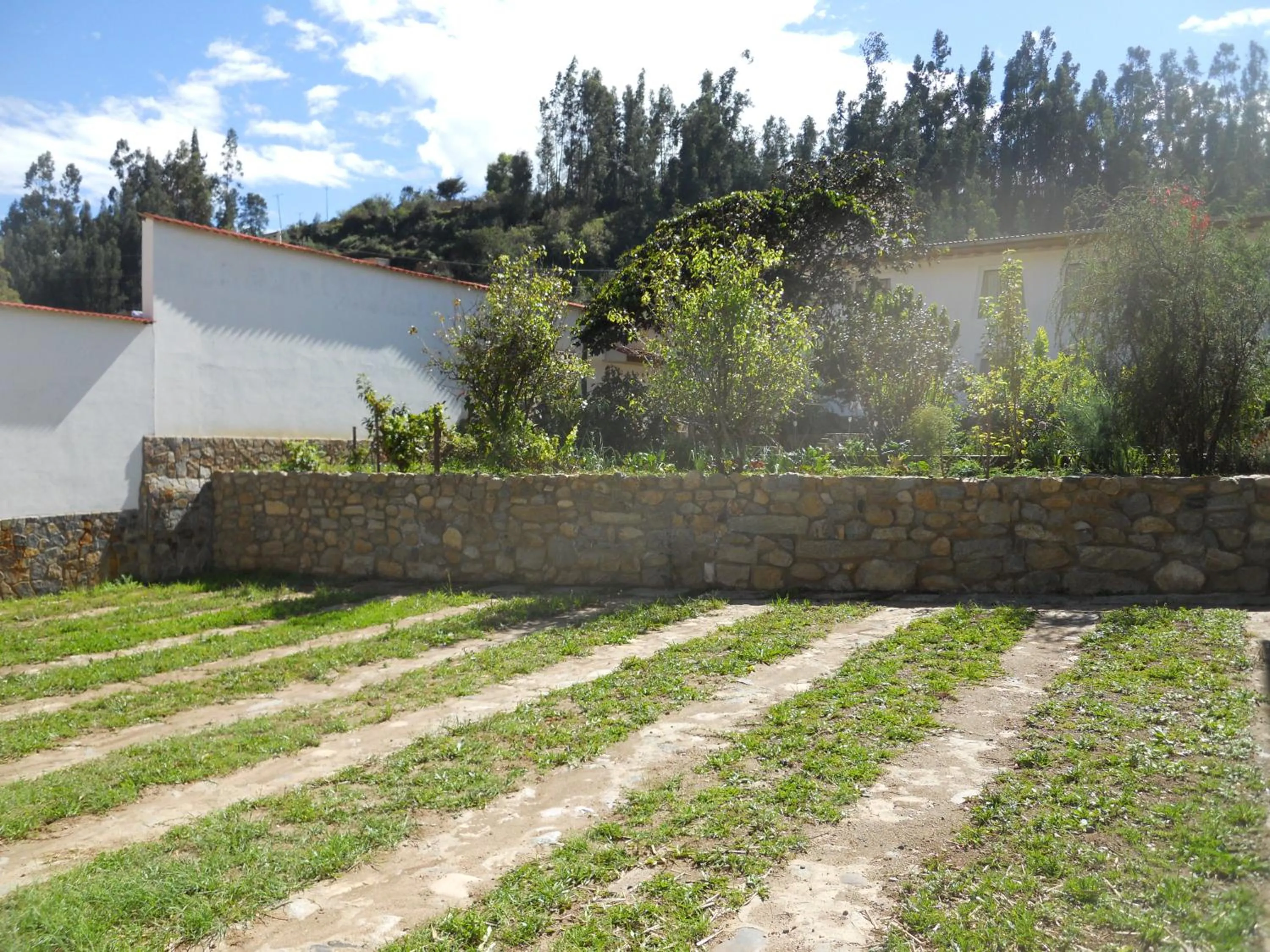 Natural landscape in Hotel El Abuelo