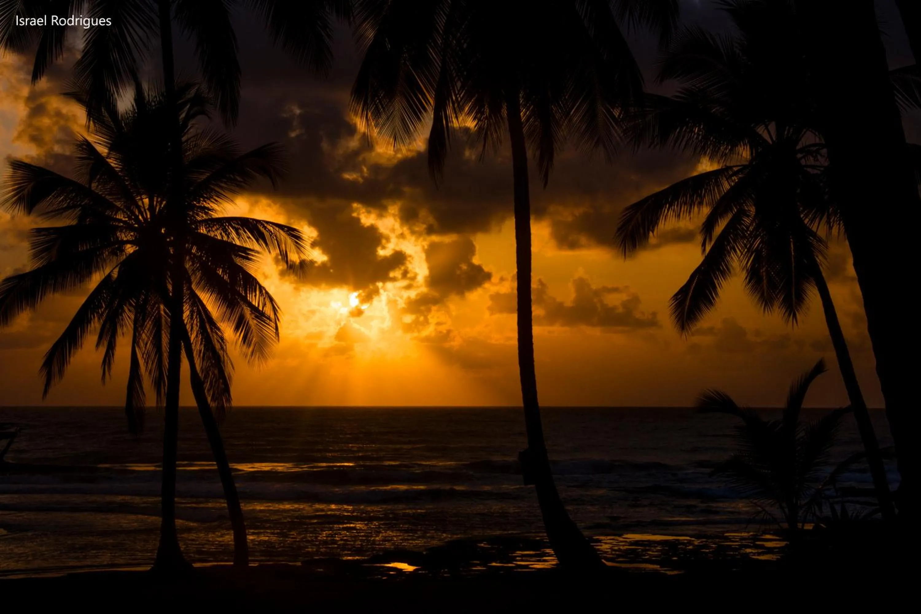 Beach in Brisa Brasil Residence