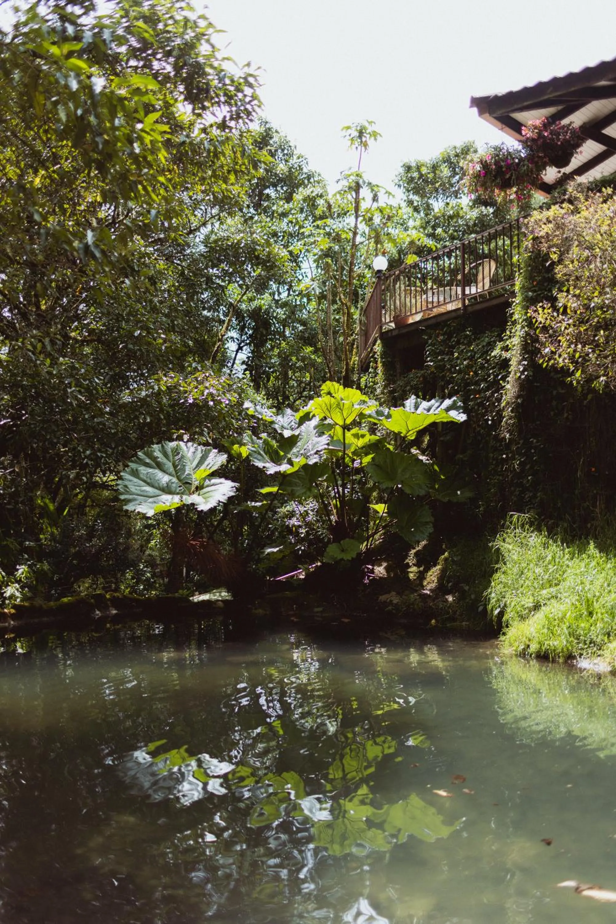 Property building in Trogon Lodge