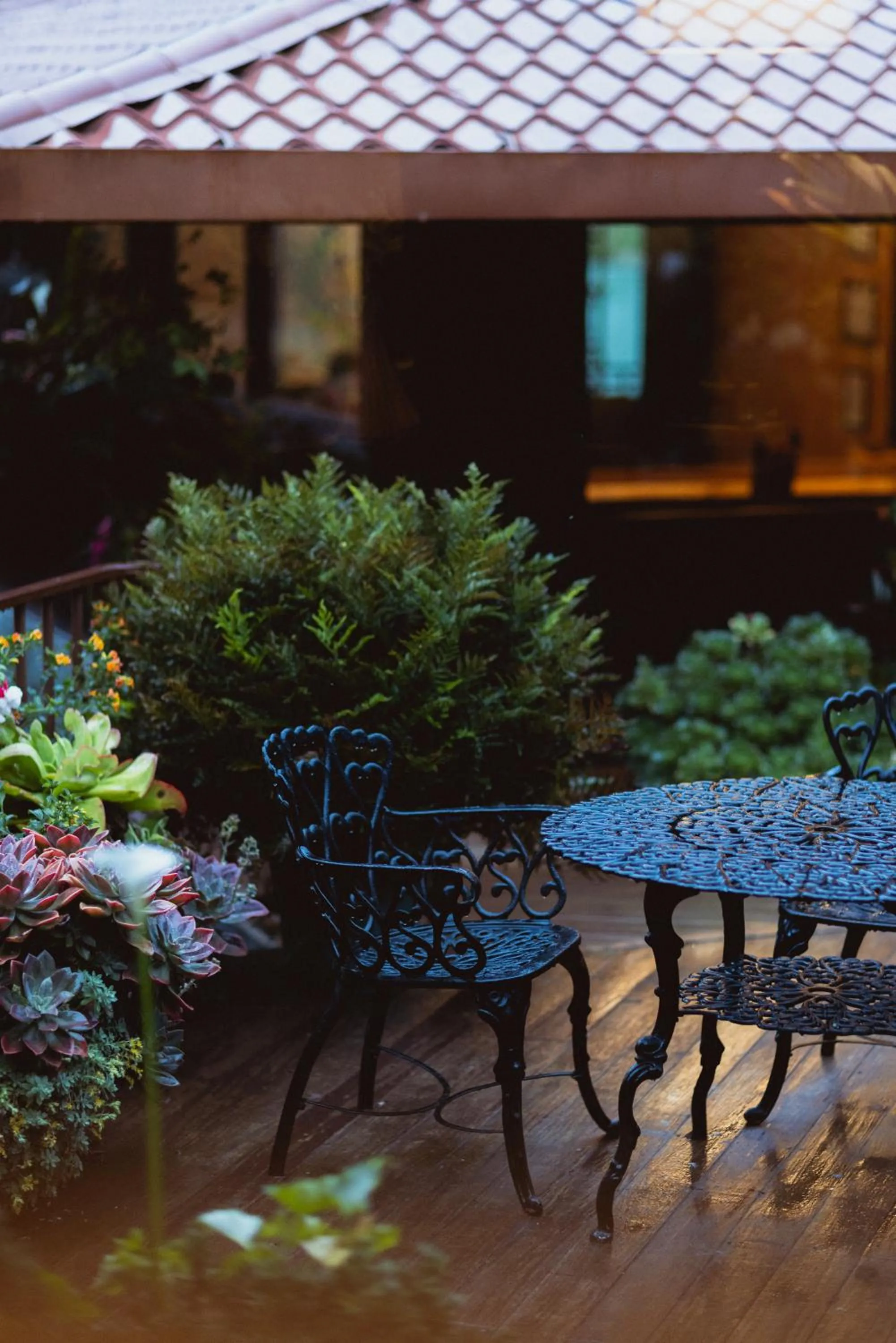 Property building in Trogon Lodge