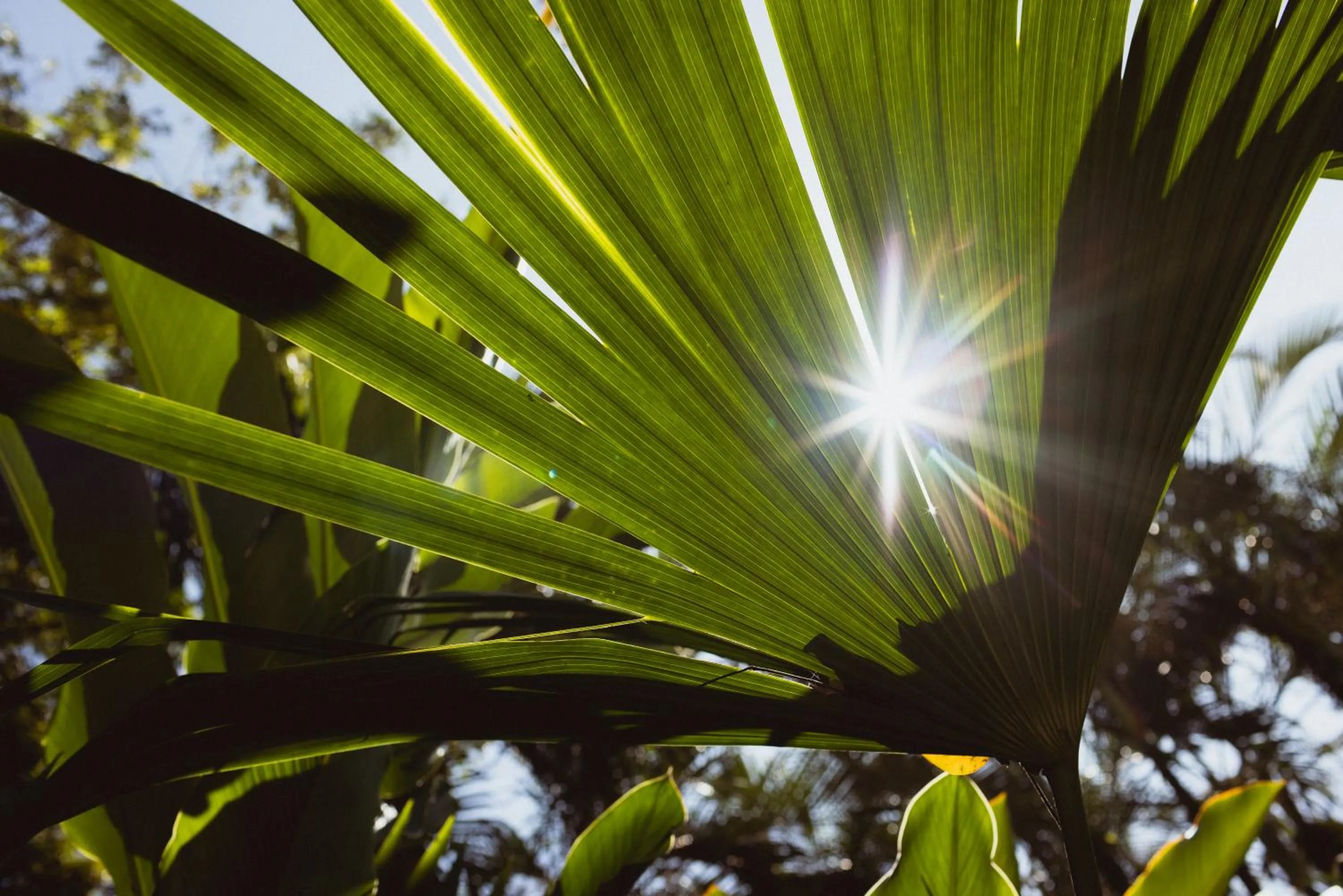 Natural landscape in Mawamba Lodge