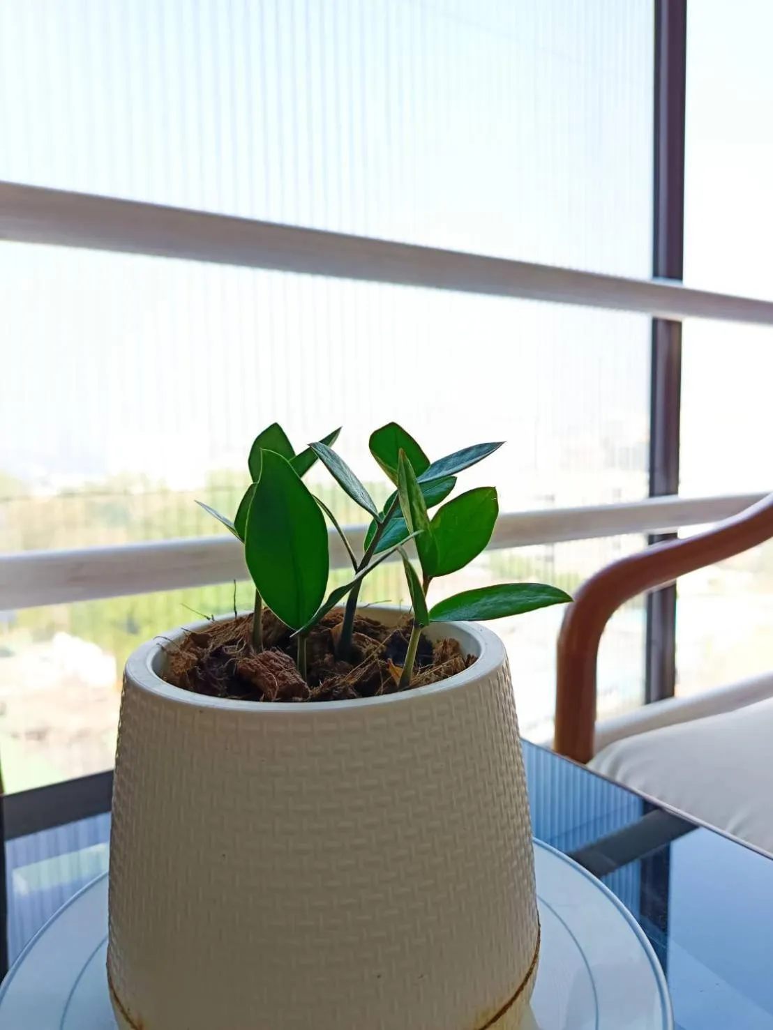 Property building in The Monaco Residence