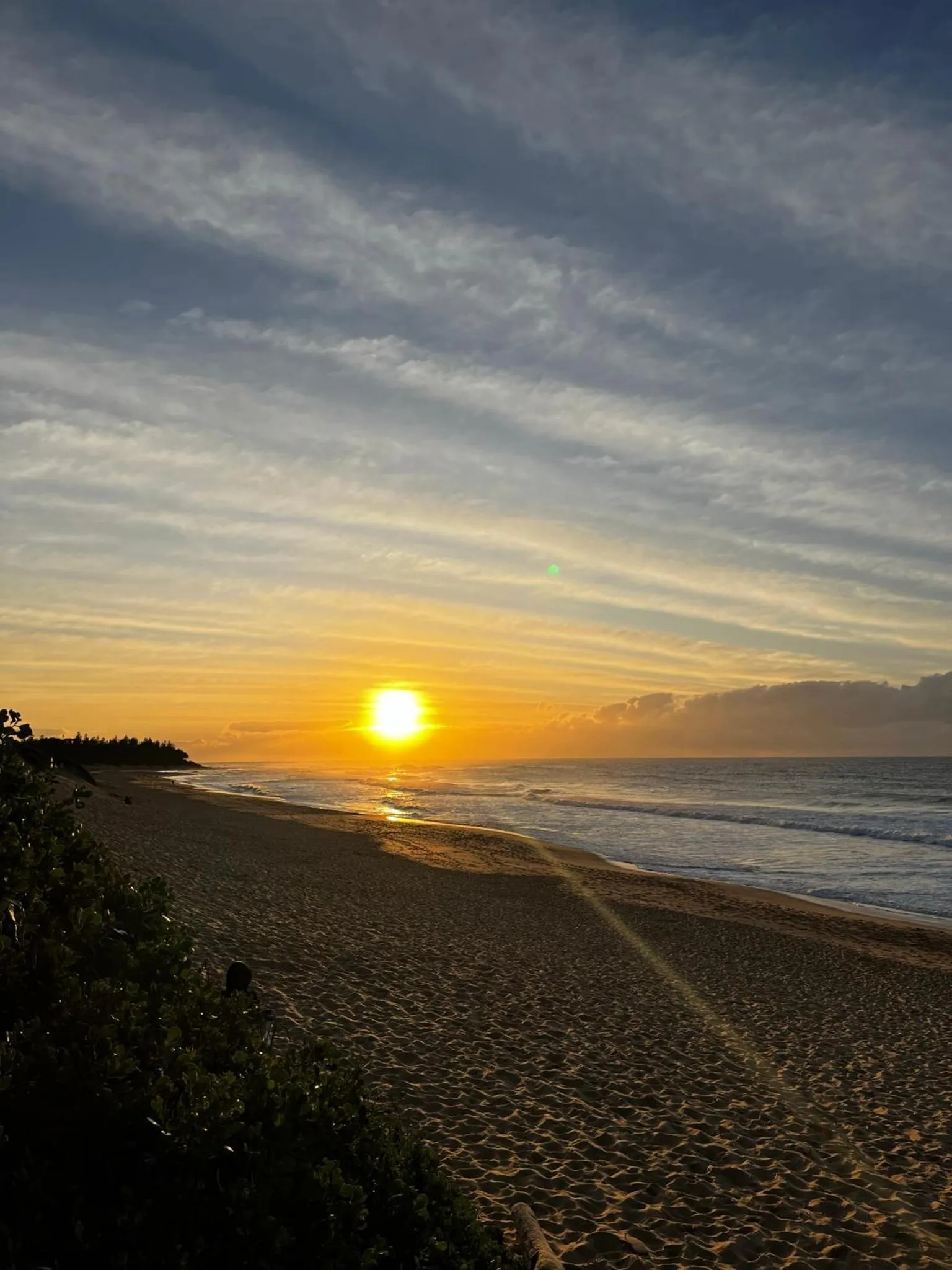 Shelly Beach Holiday Park