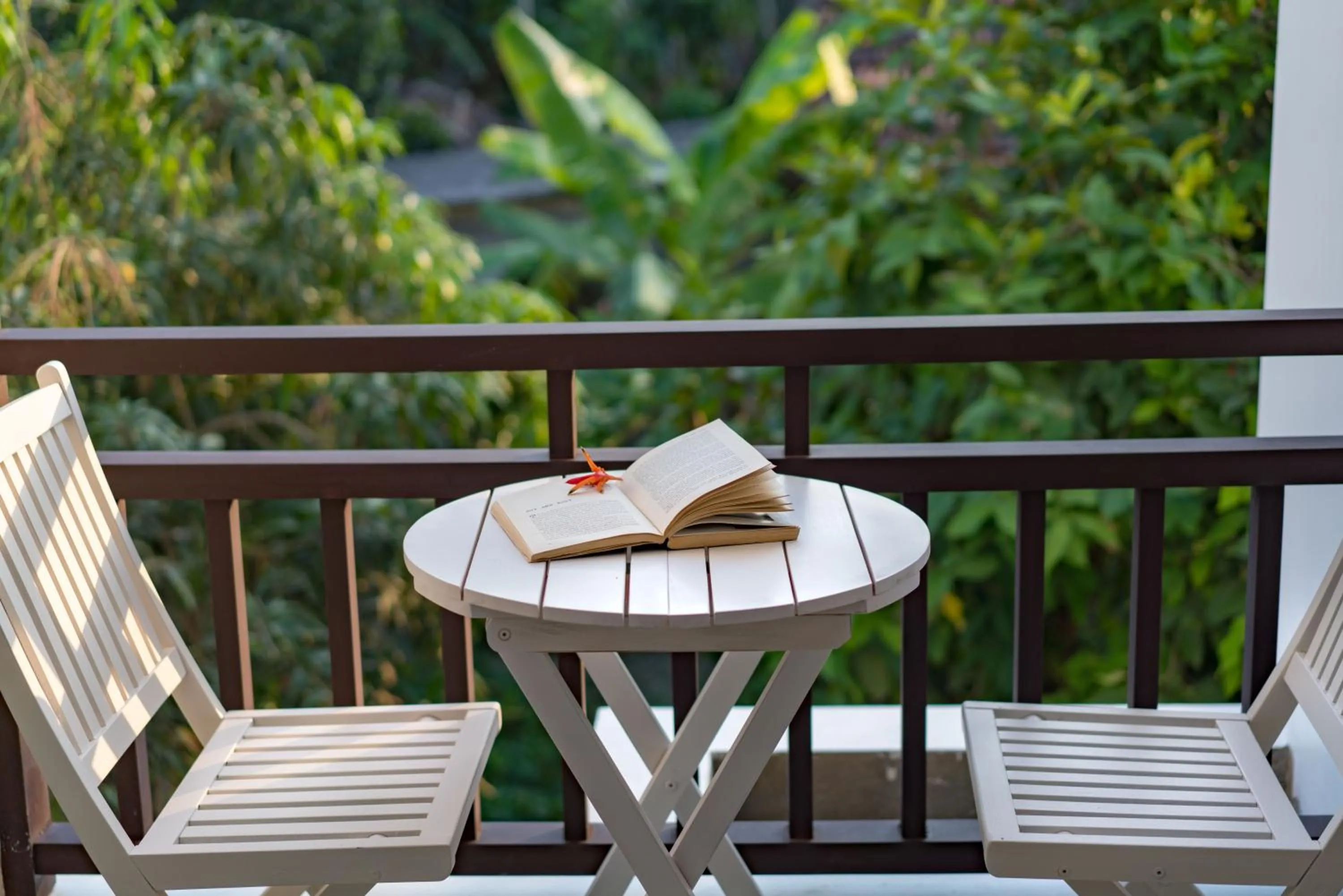 Garden in ZEN RETREAT HOI AN