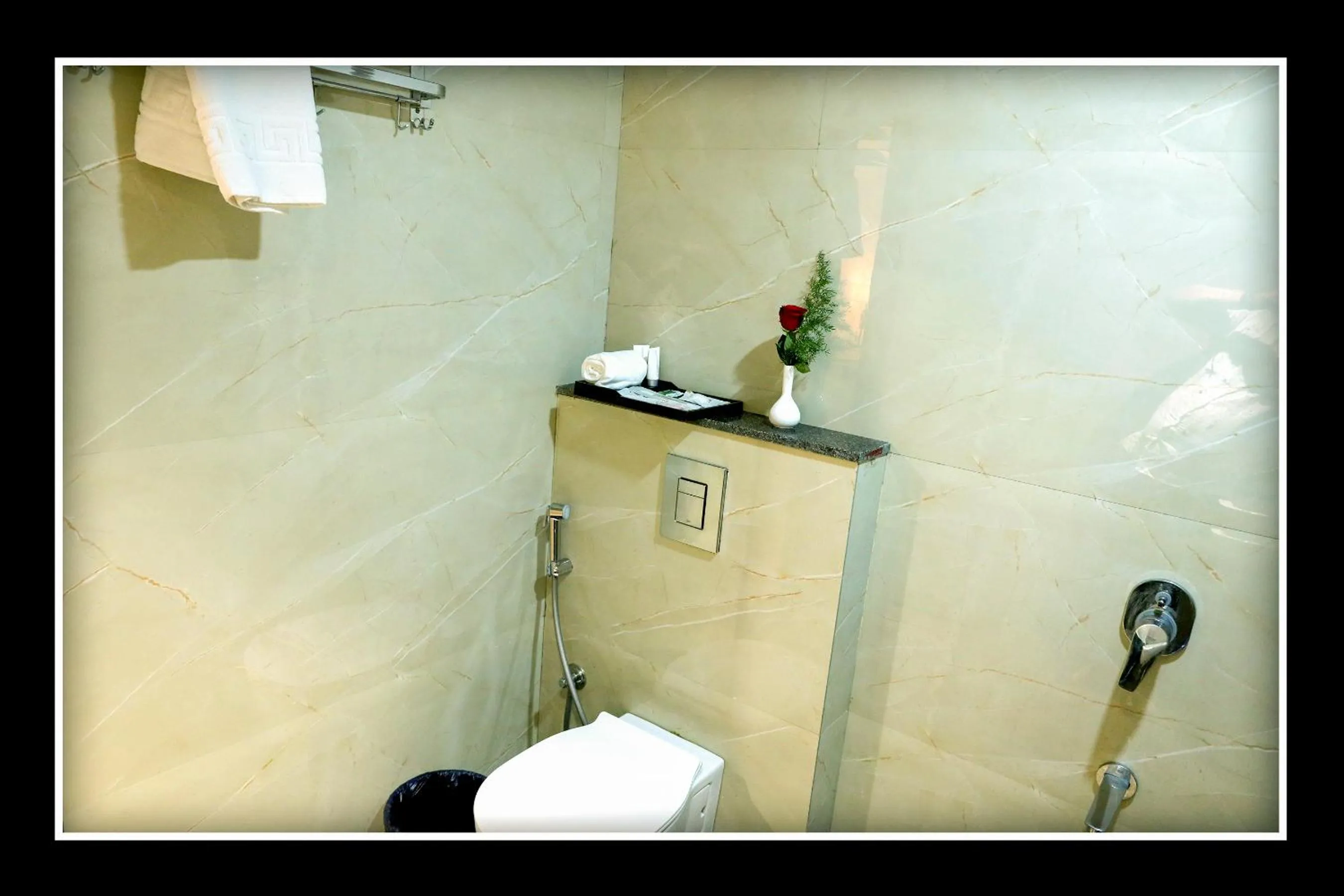 Shower in Sri Sri Sri Excellency