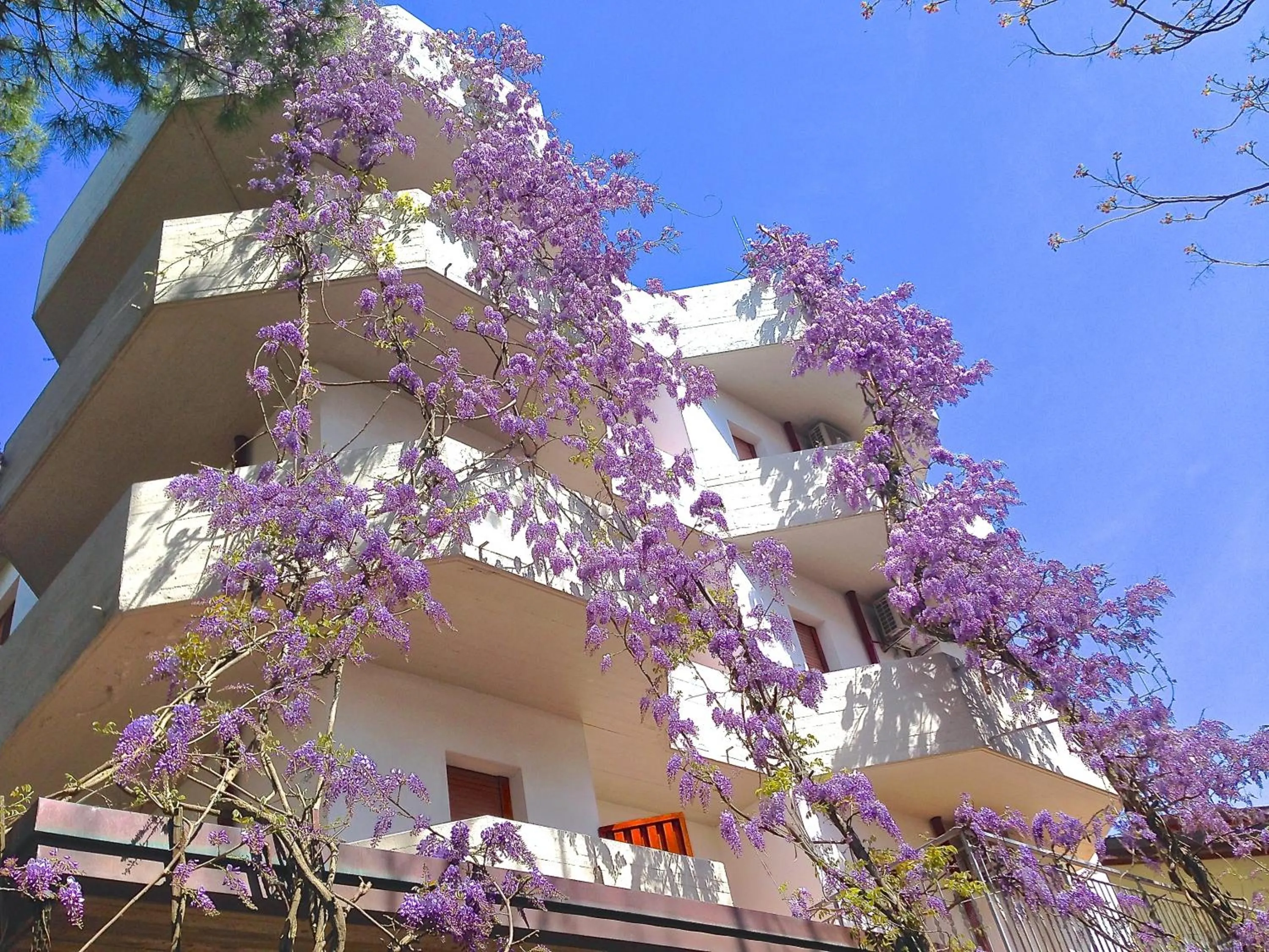 Facade/entrance in Residence Piccolo