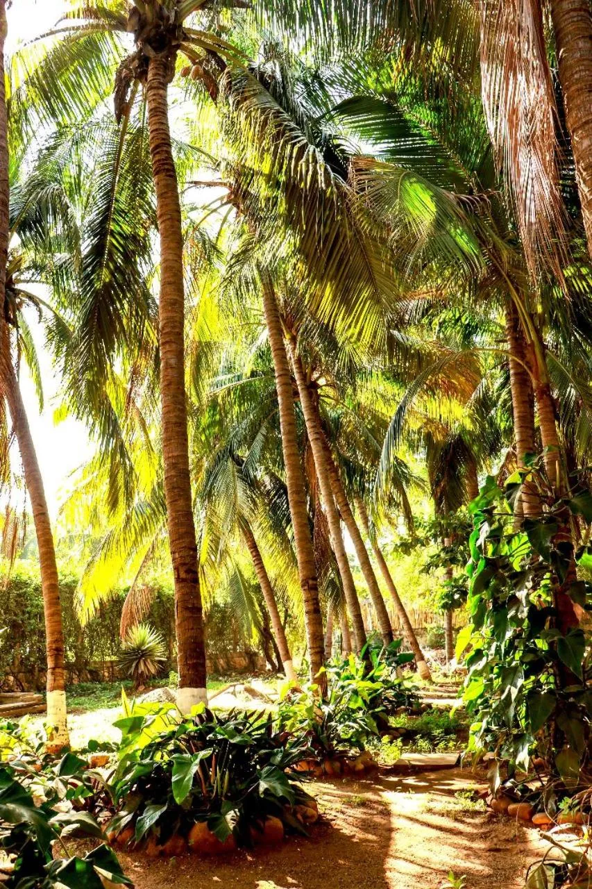 Garden in Hotel Rivera Del Mar