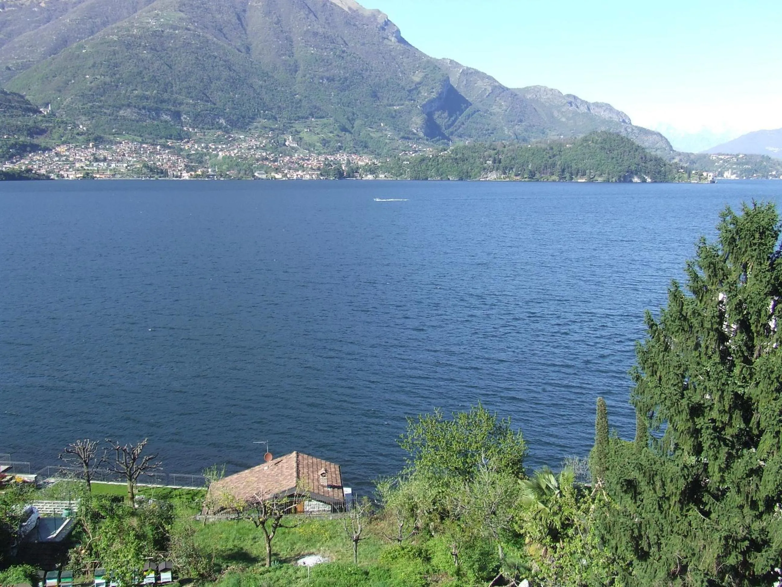 View (from property/room) in Hotel Helvetia