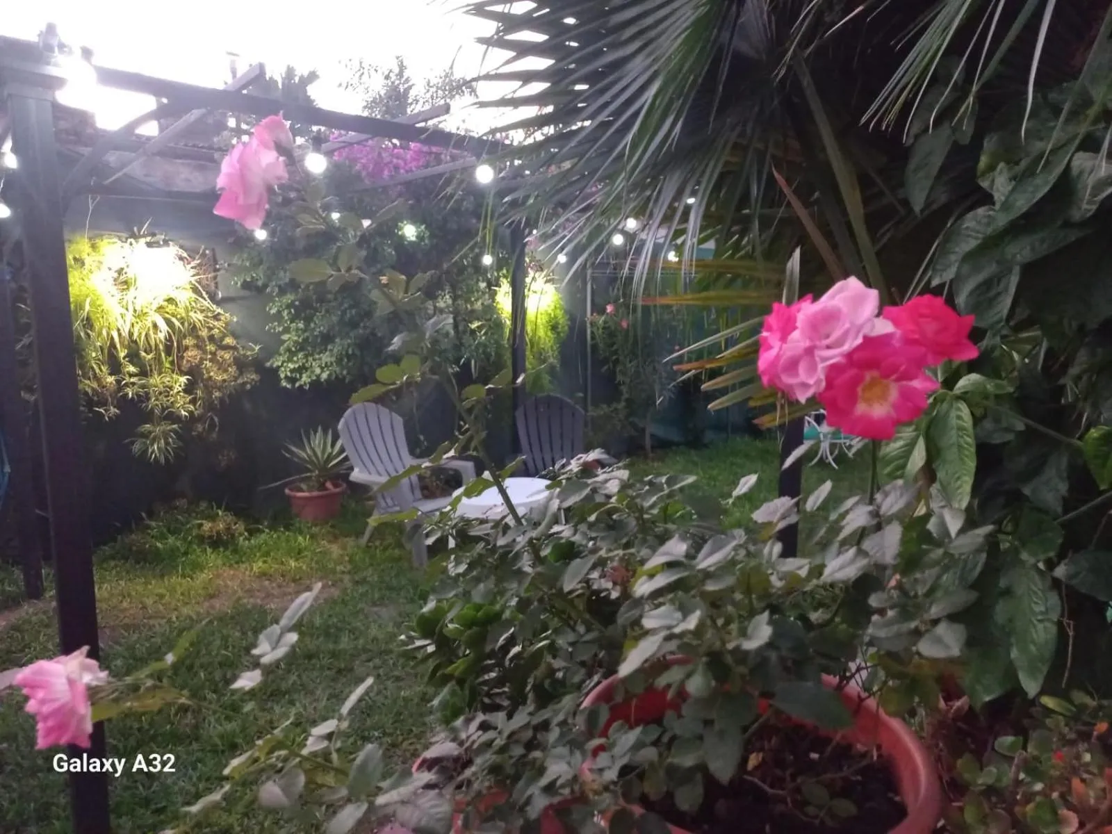 Garden in Ñanderoga B&B