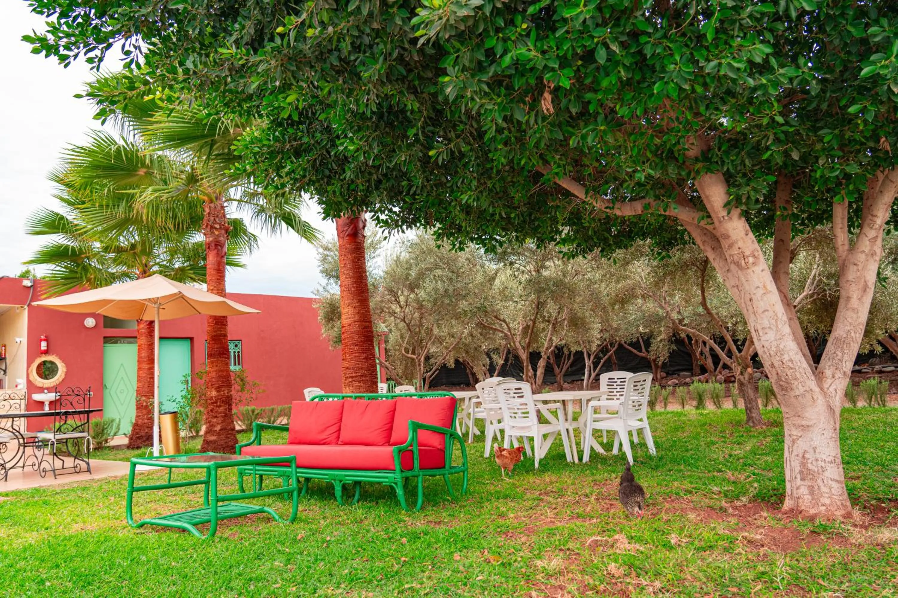 Day in Villa Baddi Marrakech