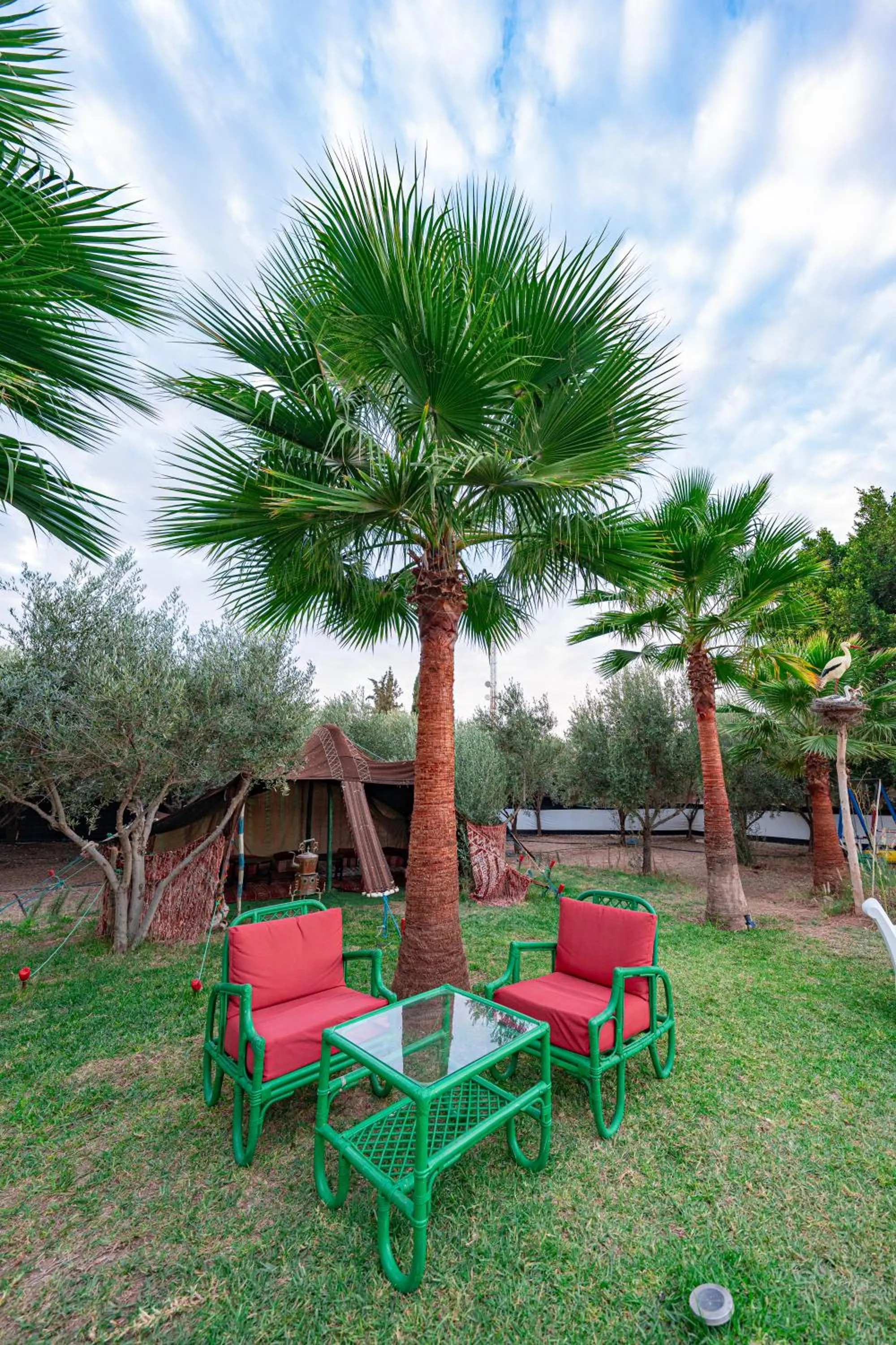 Day in Villa Baddi Marrakech