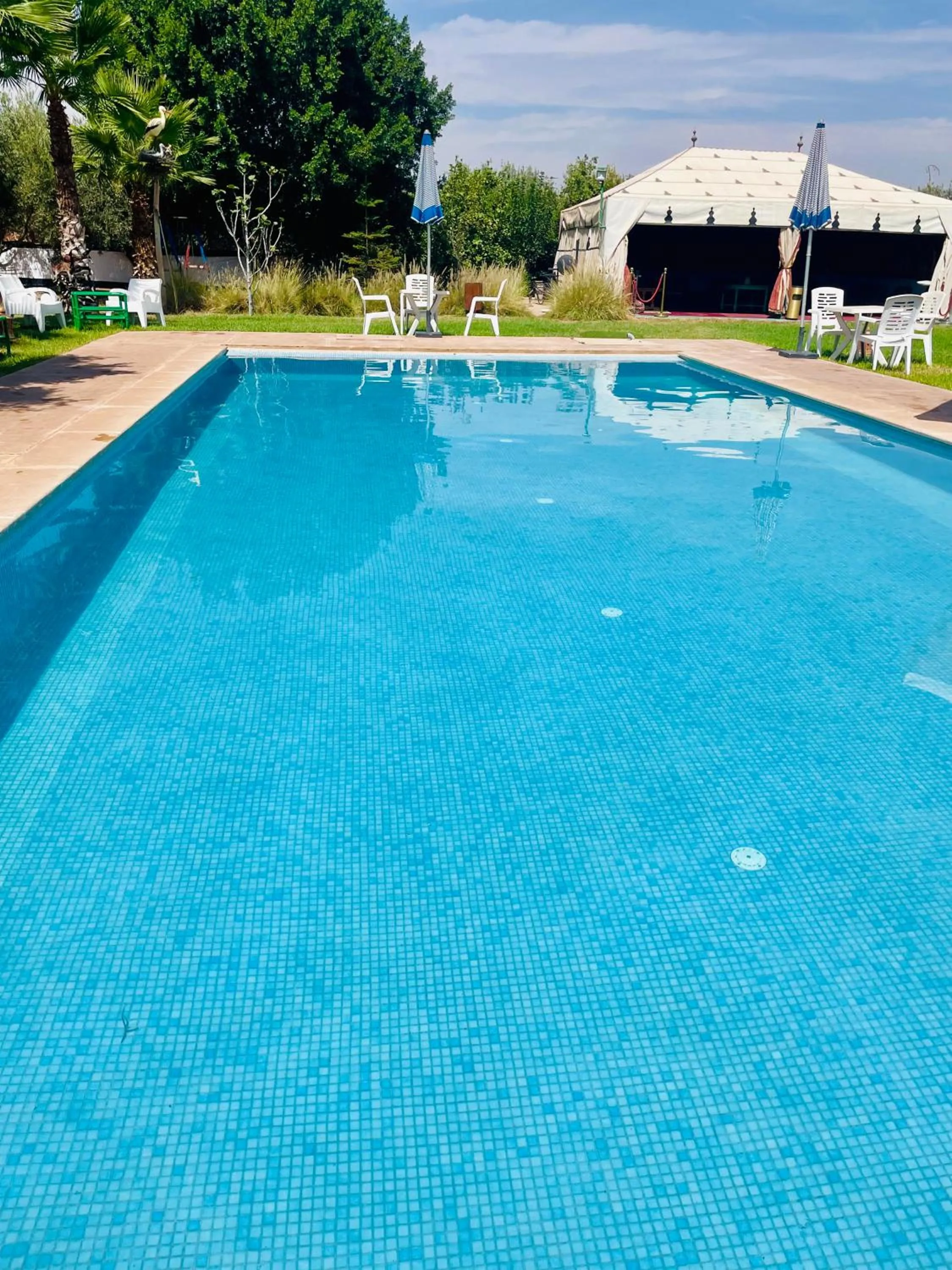 Pool view in Villa Baddi Marrakech
