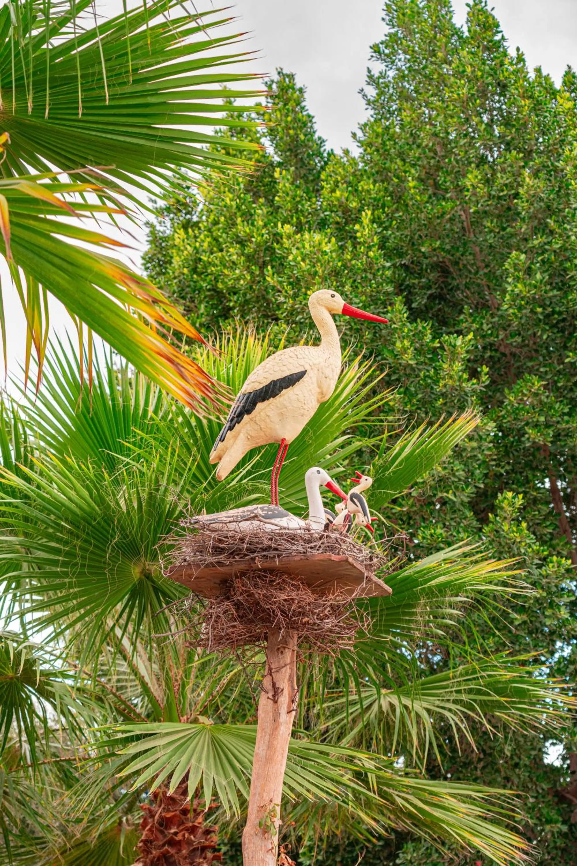 Animals in Villa Baddi Marrakech