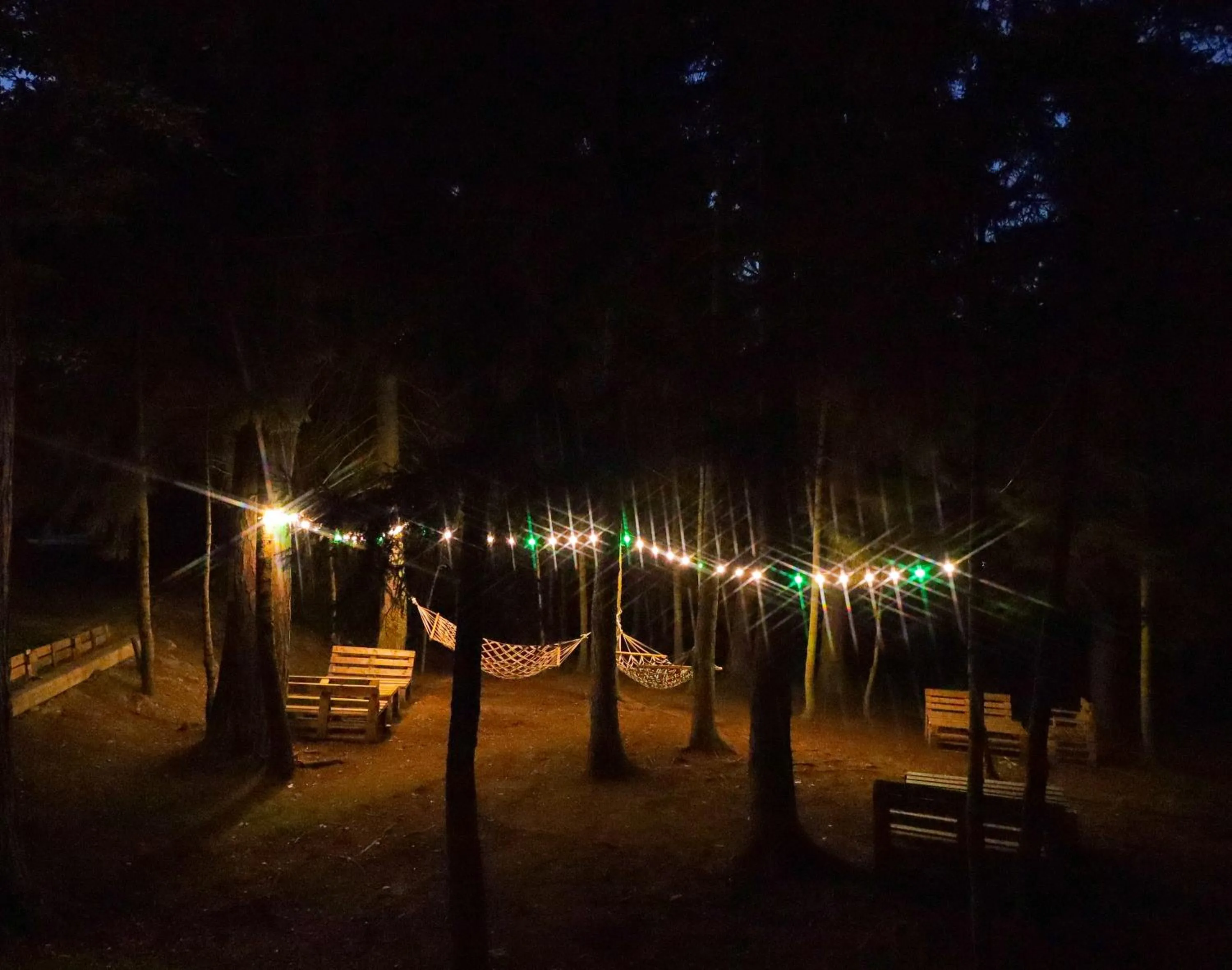 Natural landscape in Hotel Evergreen