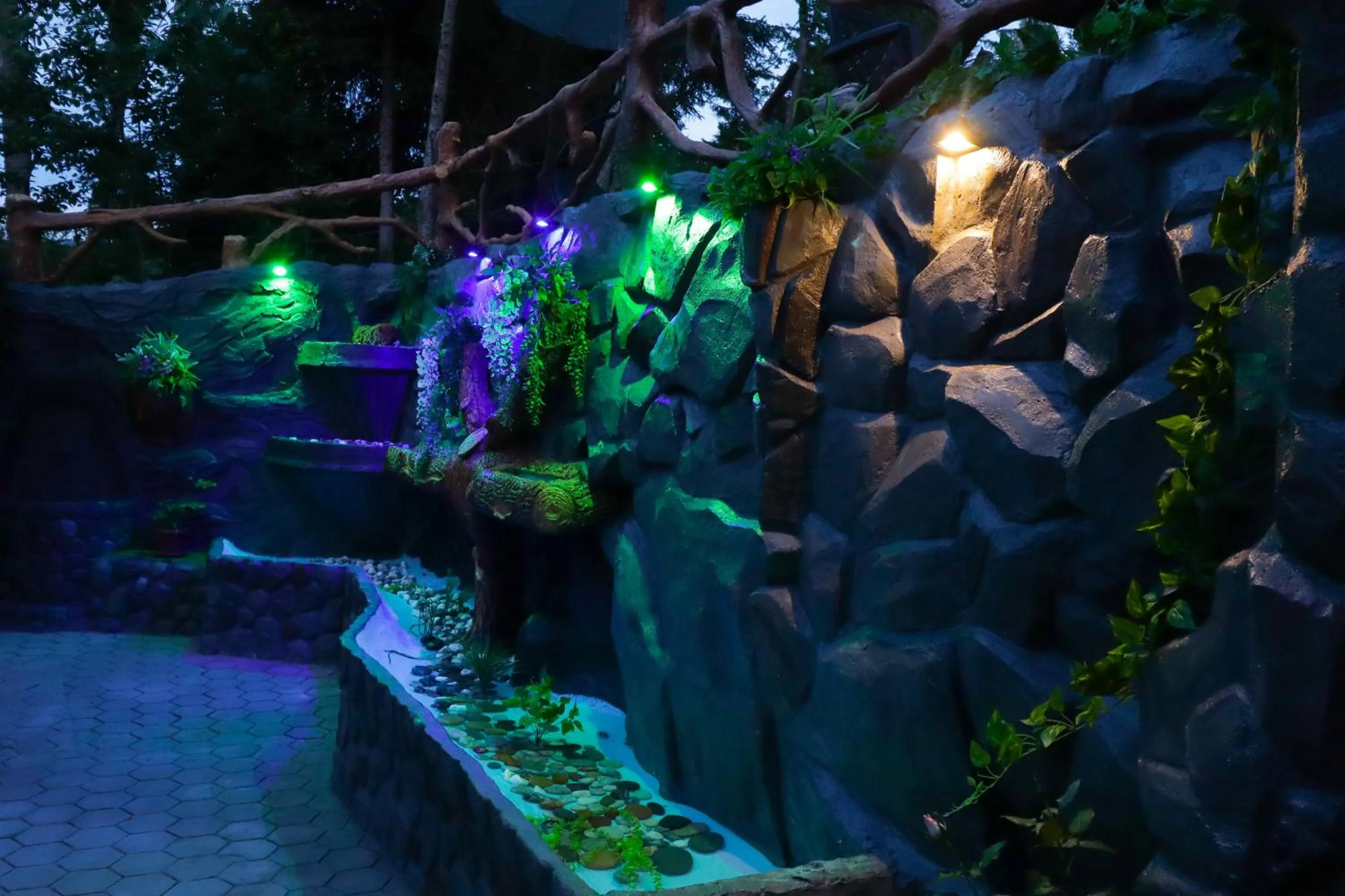 Lounge or bar in Hotel Evergreen