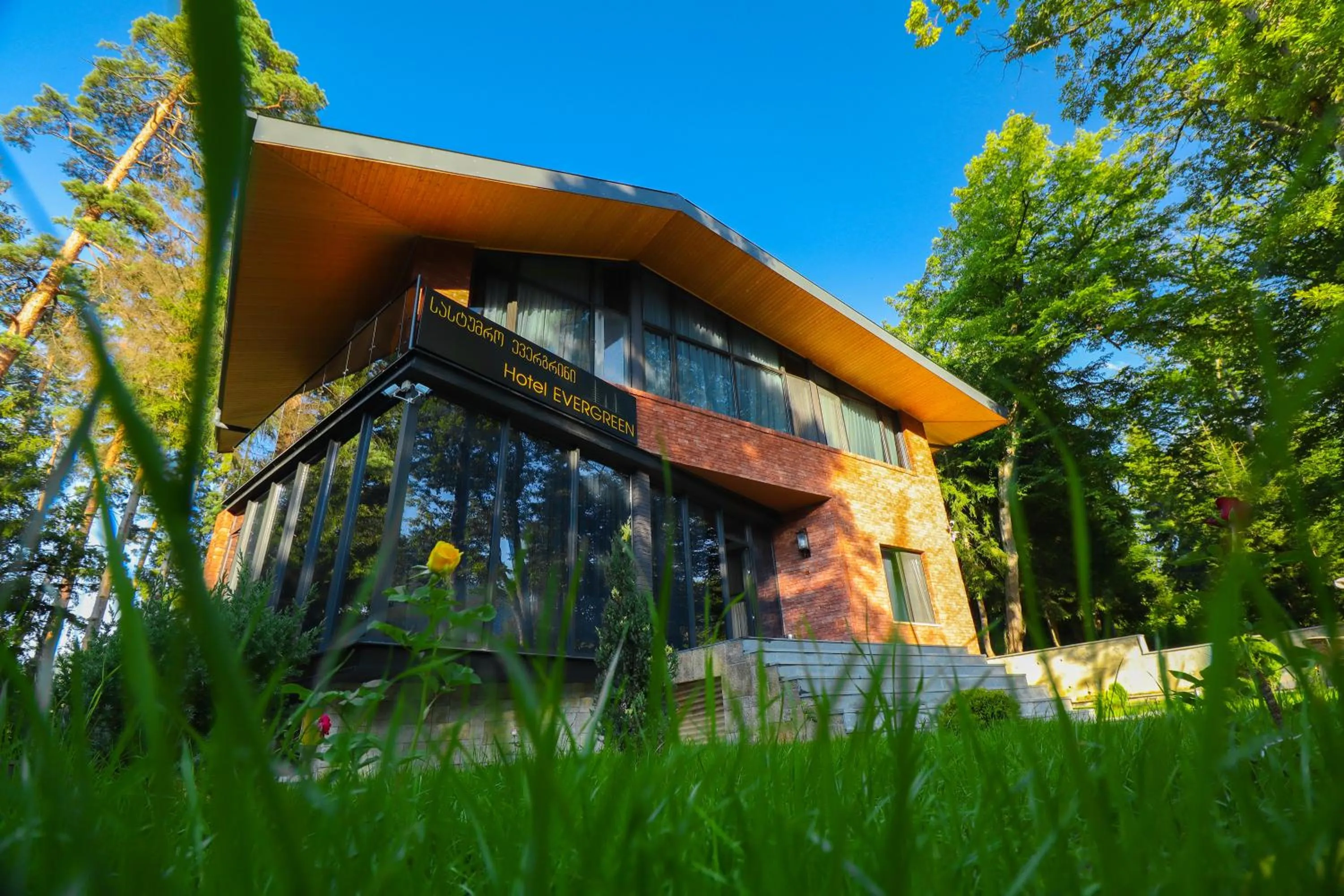 Property building in Hotel Evergreen