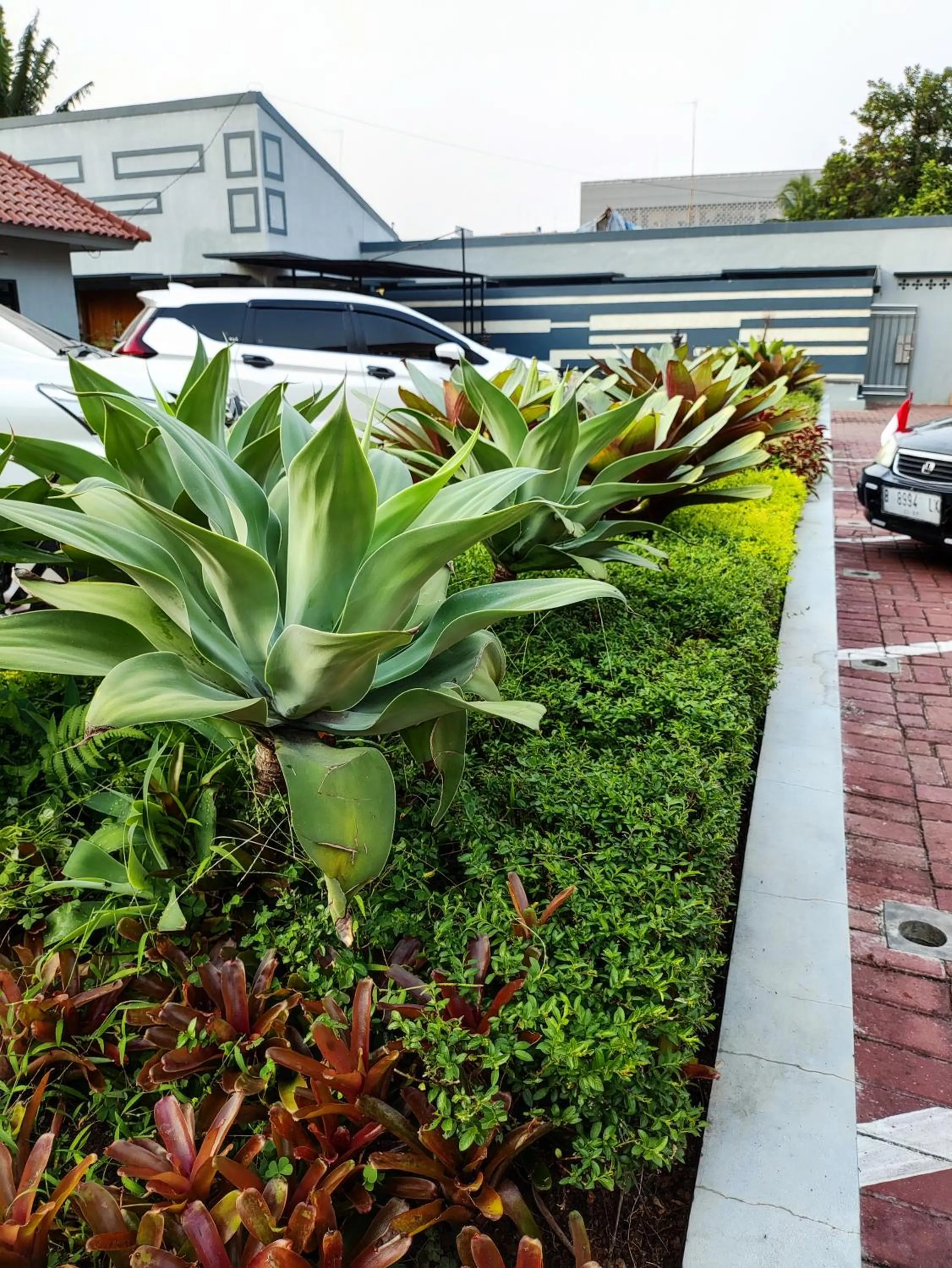 Day in Hotel Cibening