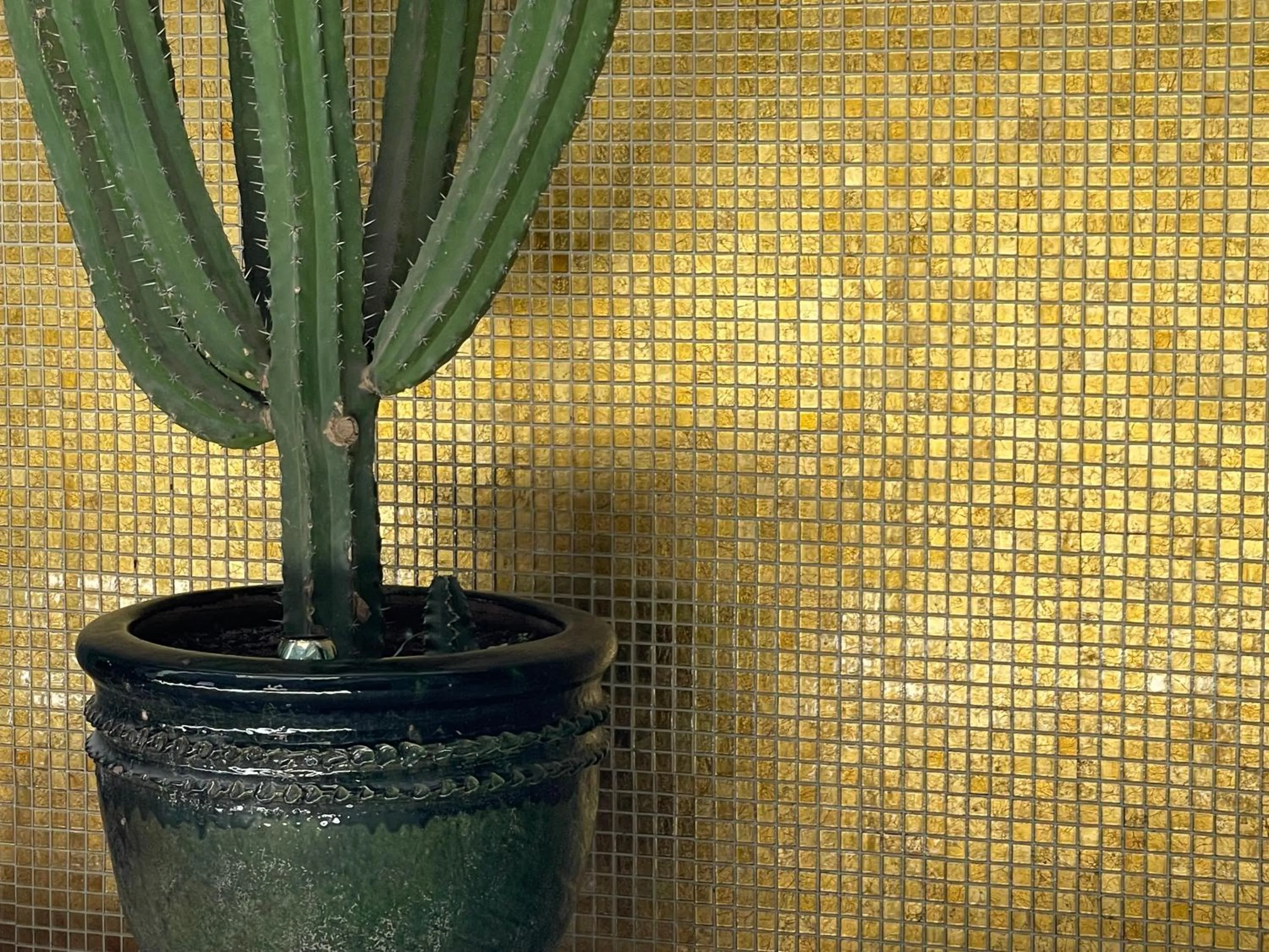 Property building in YVES Marrakech