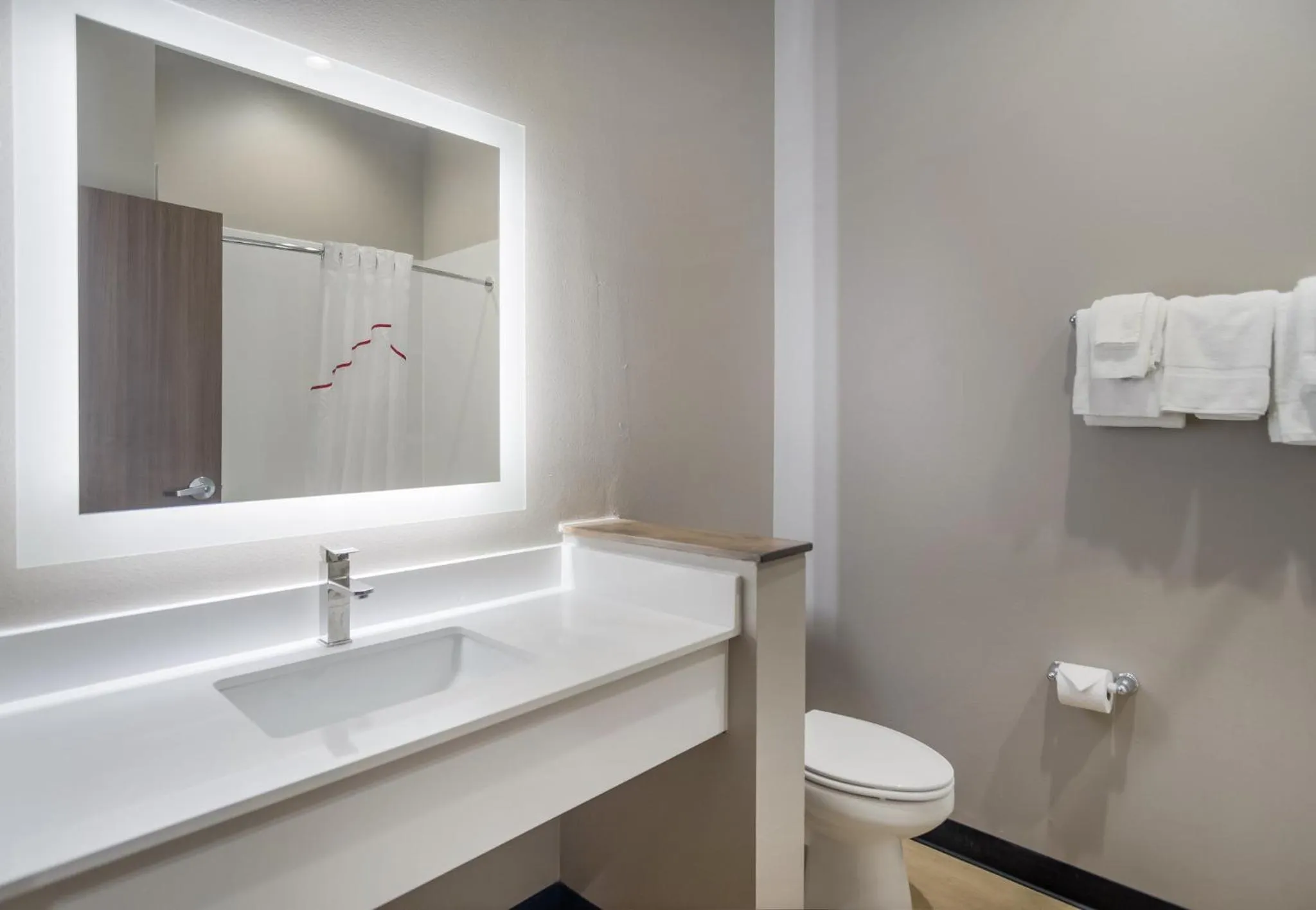 Bathroom in Red Roof Inn Lancaster, TX