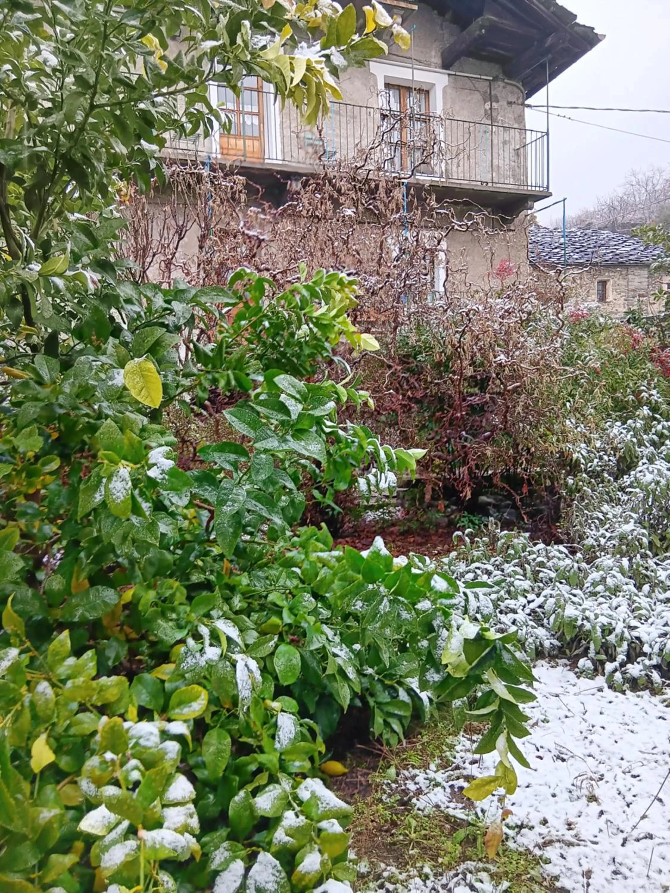 Winter in La Casa Antica