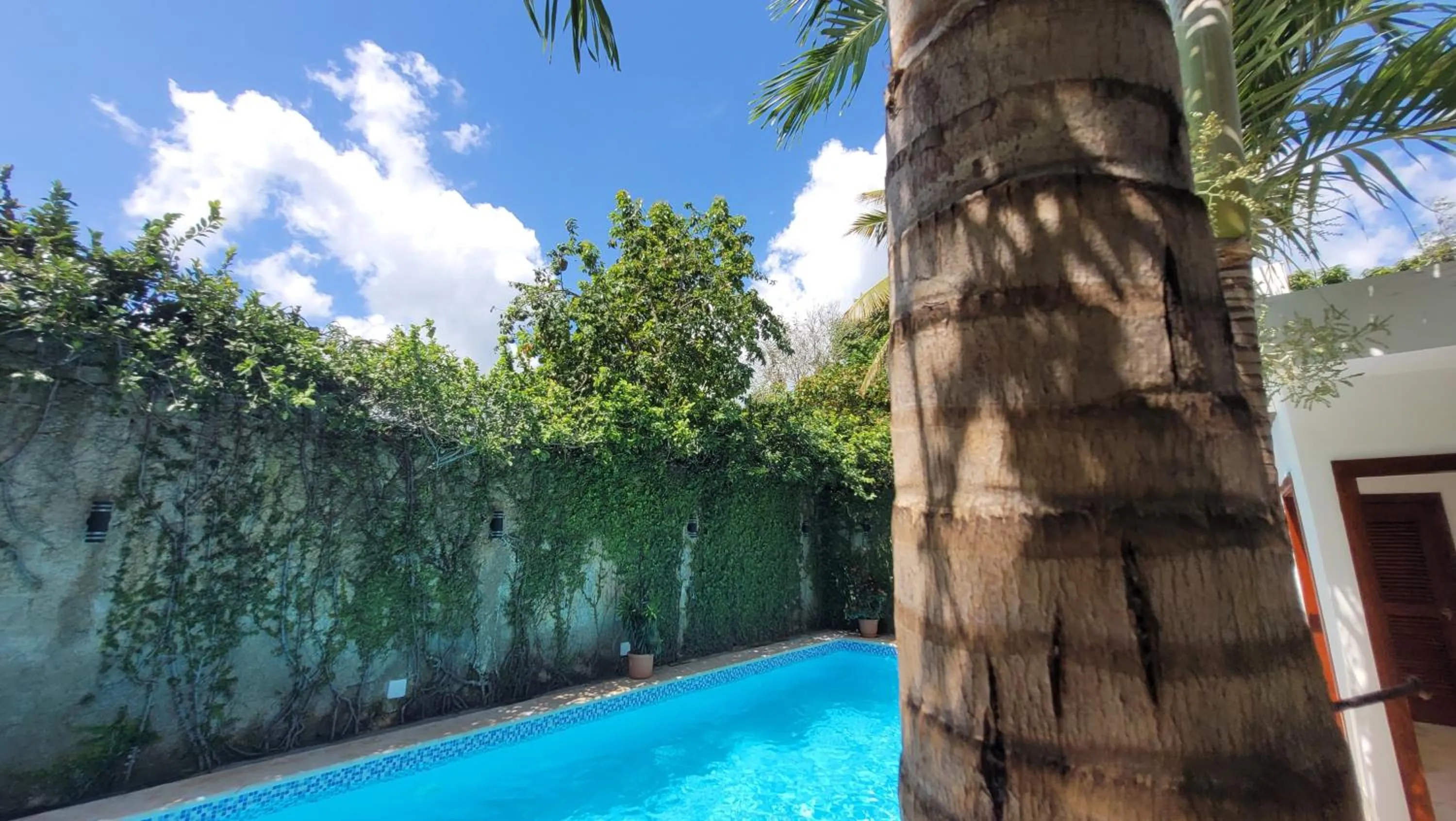 Swimming pool in Green Oasis Hotel