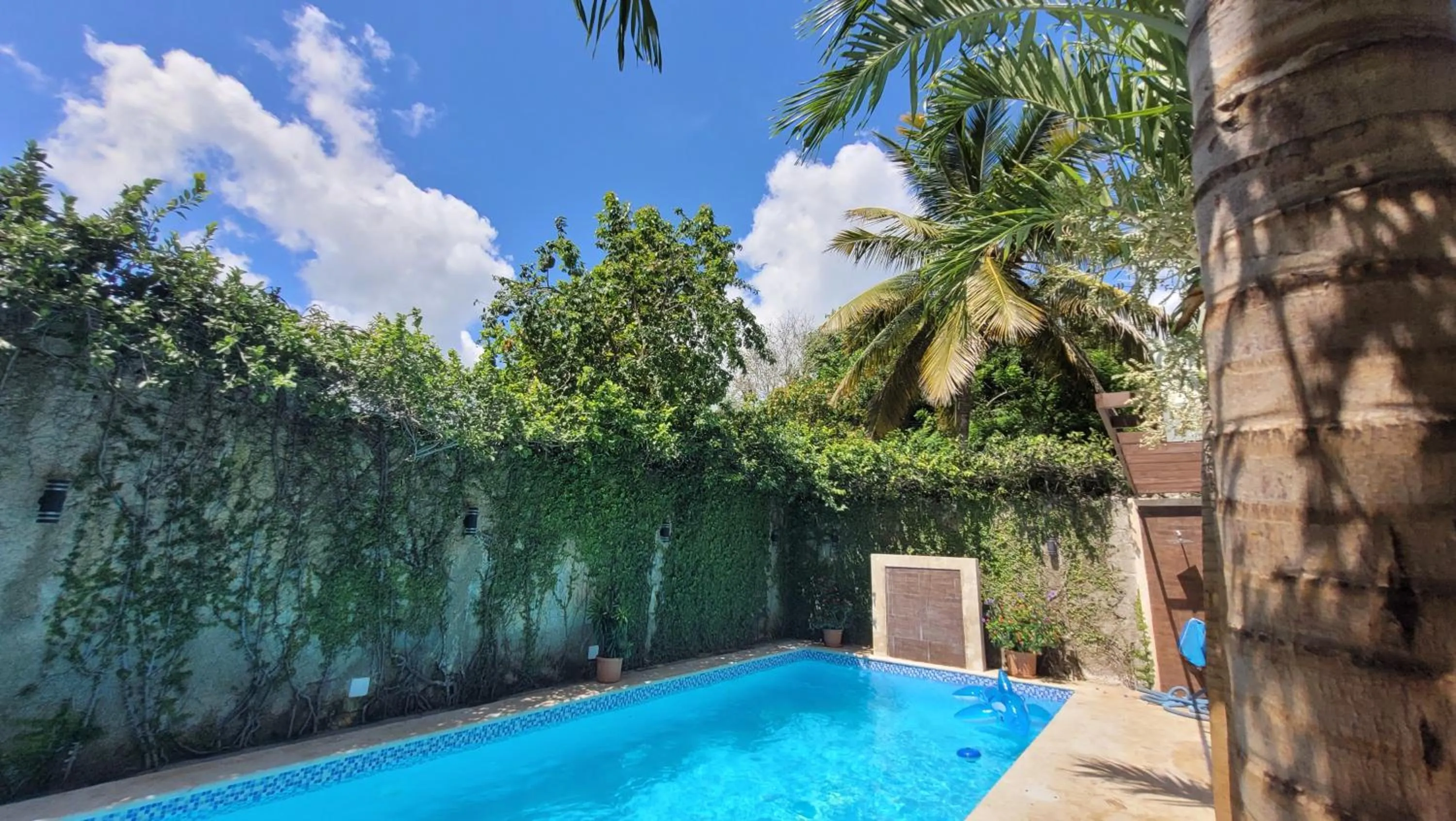 Swimming pool in Green Oasis Hotel
