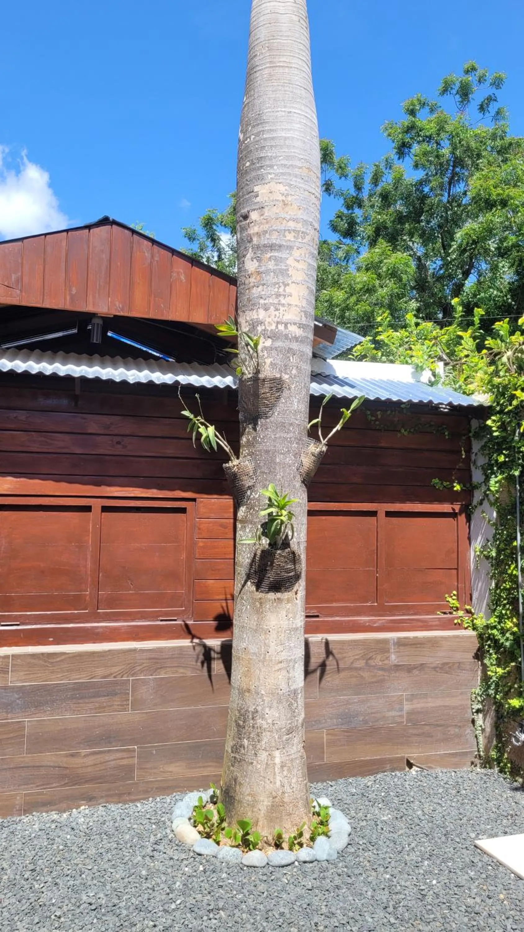 Patio in Green Oasis Hotel